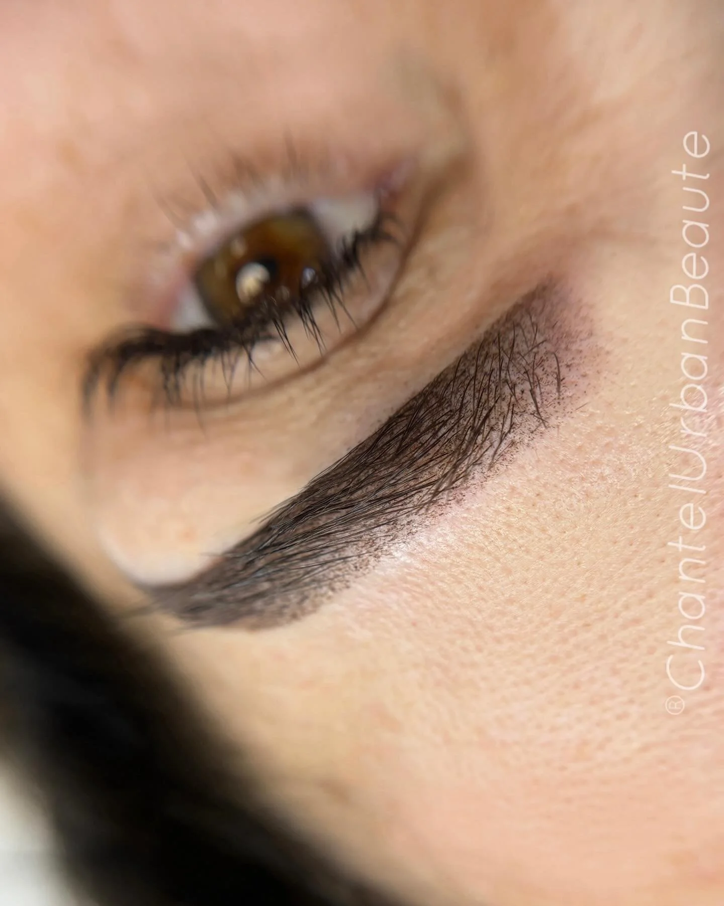 Ombr&eacute; brows are a soft, shaded eyebrow technique that creates a gradient effect-lighter at the front and gradually darker toward the tail. Unlike harsh, solid brows, this method gives a more natural, powdered makeup look that suits all skin ty