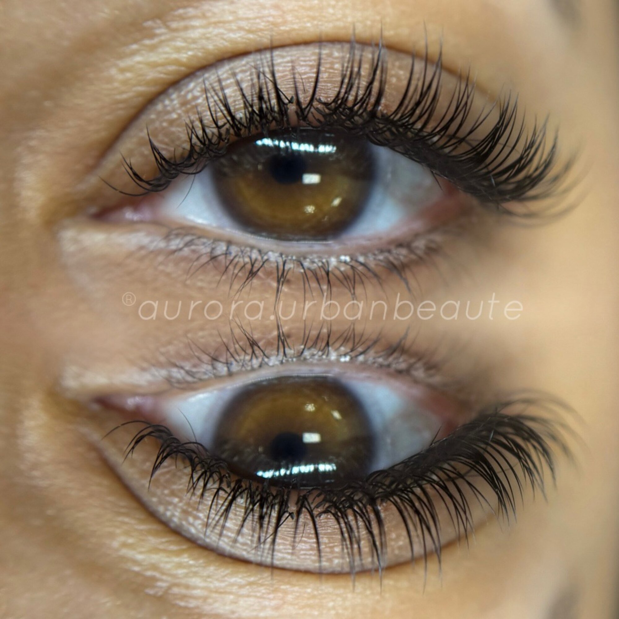 Aurora - Lash Extensions 17.jpg