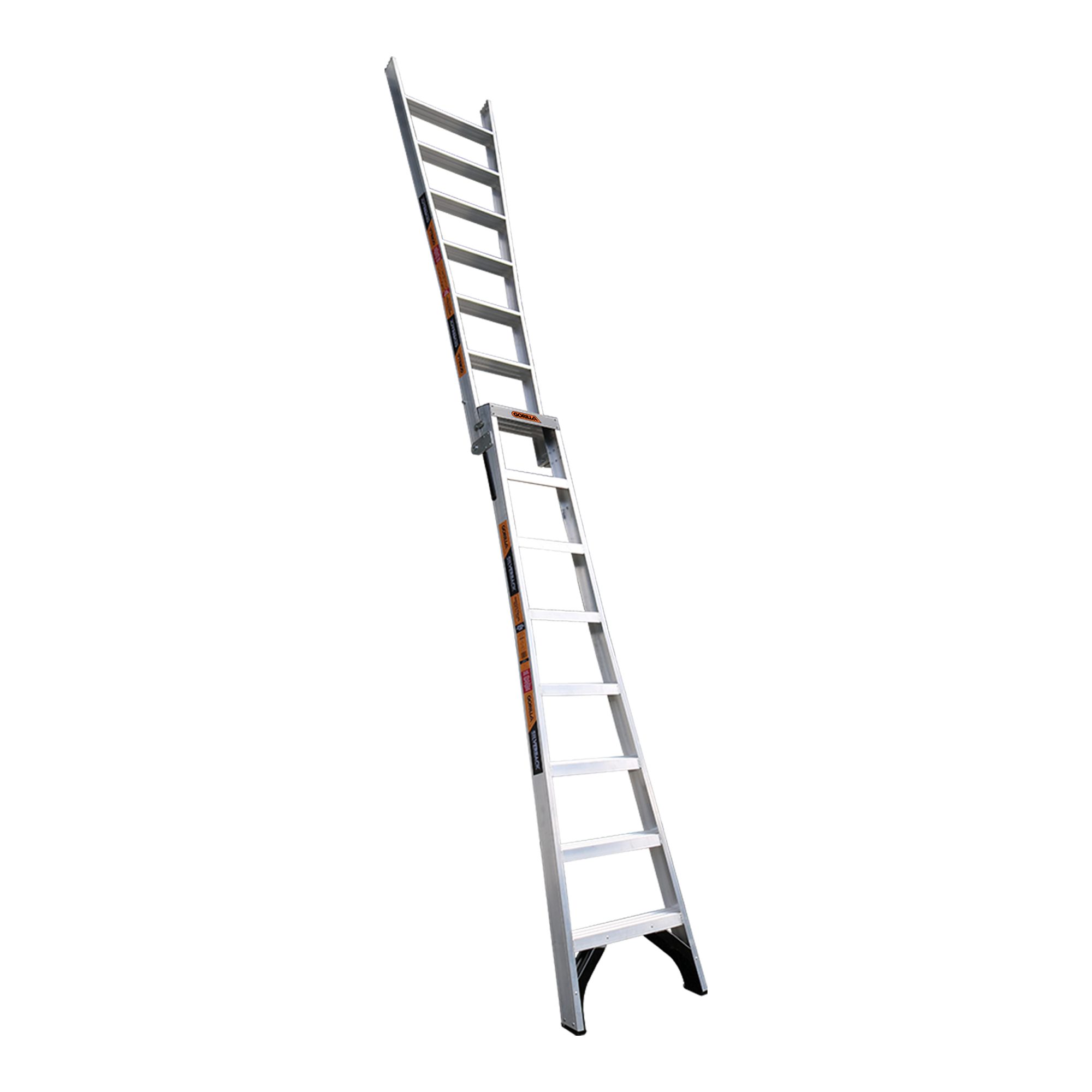 0115220_2.png