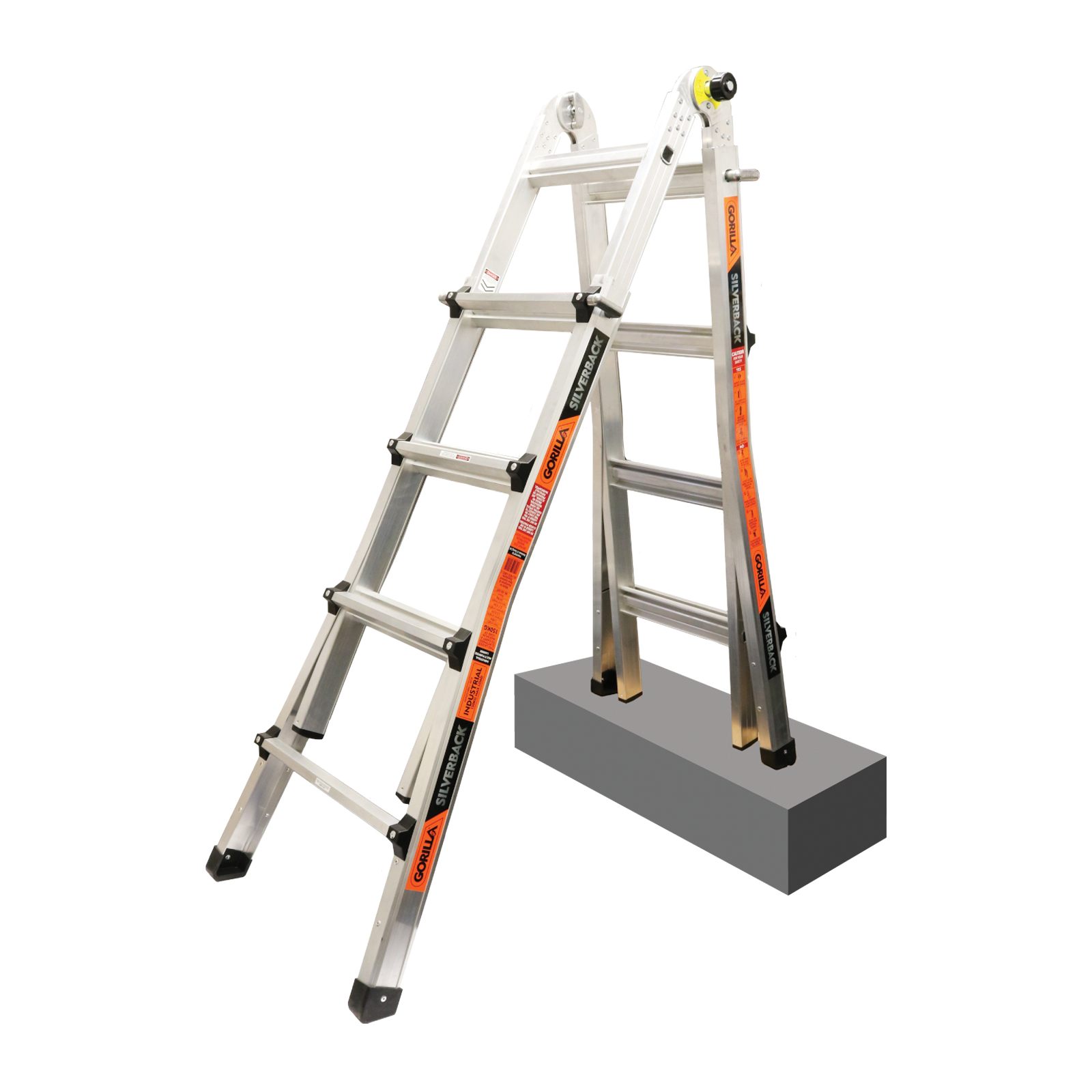 0311513_5.png