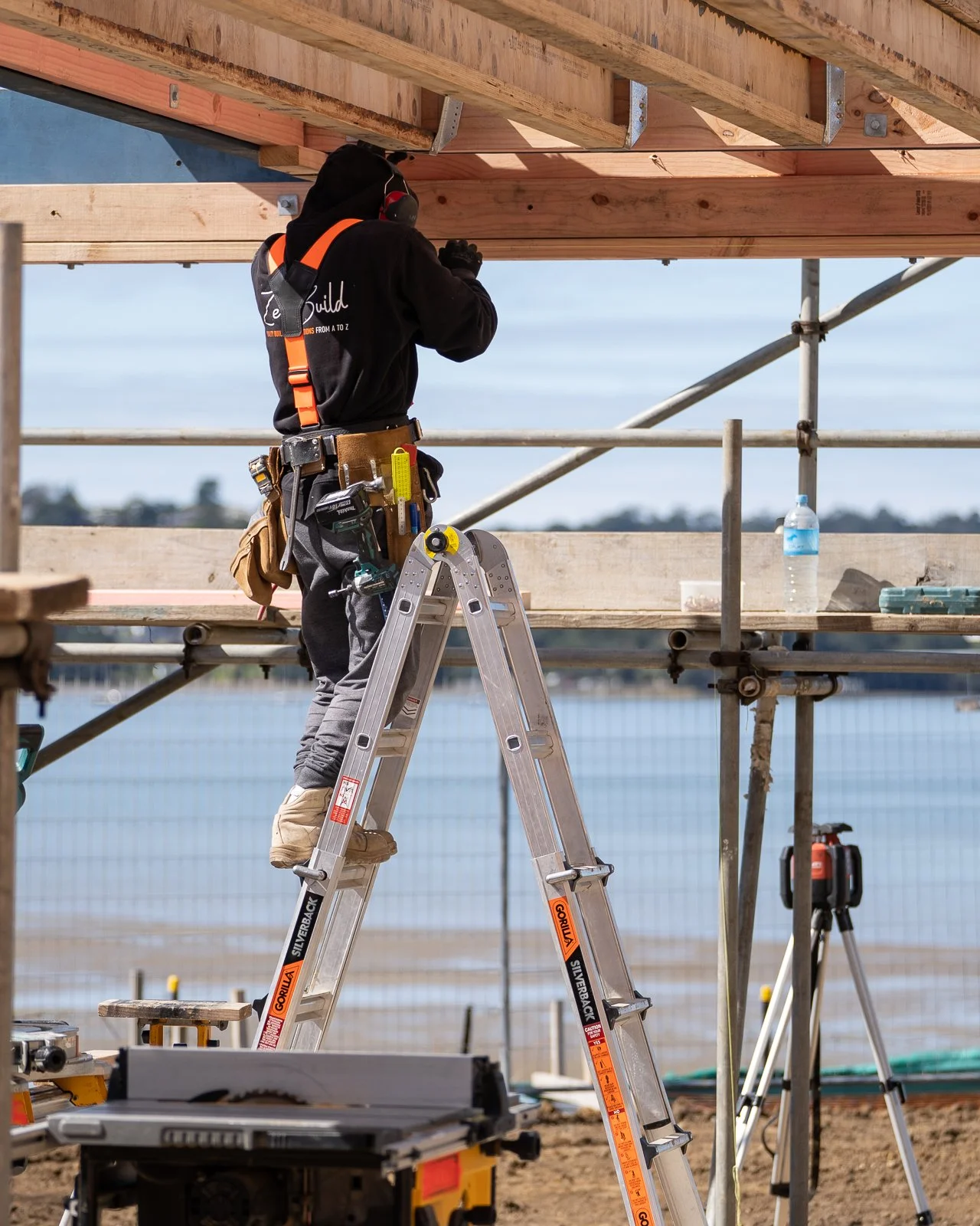 Gorilla_LaddersZe Build 1.jpg