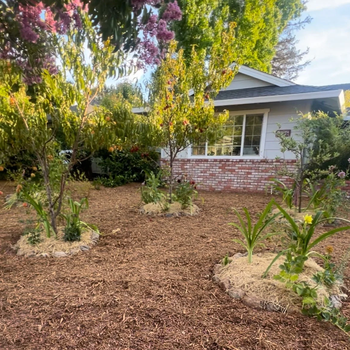 Landscaping