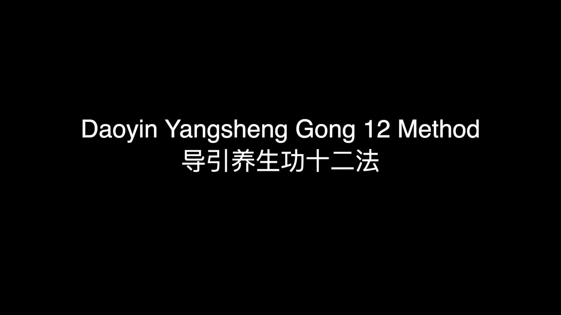 Dao Yin Yang Sheng 12 Movements
