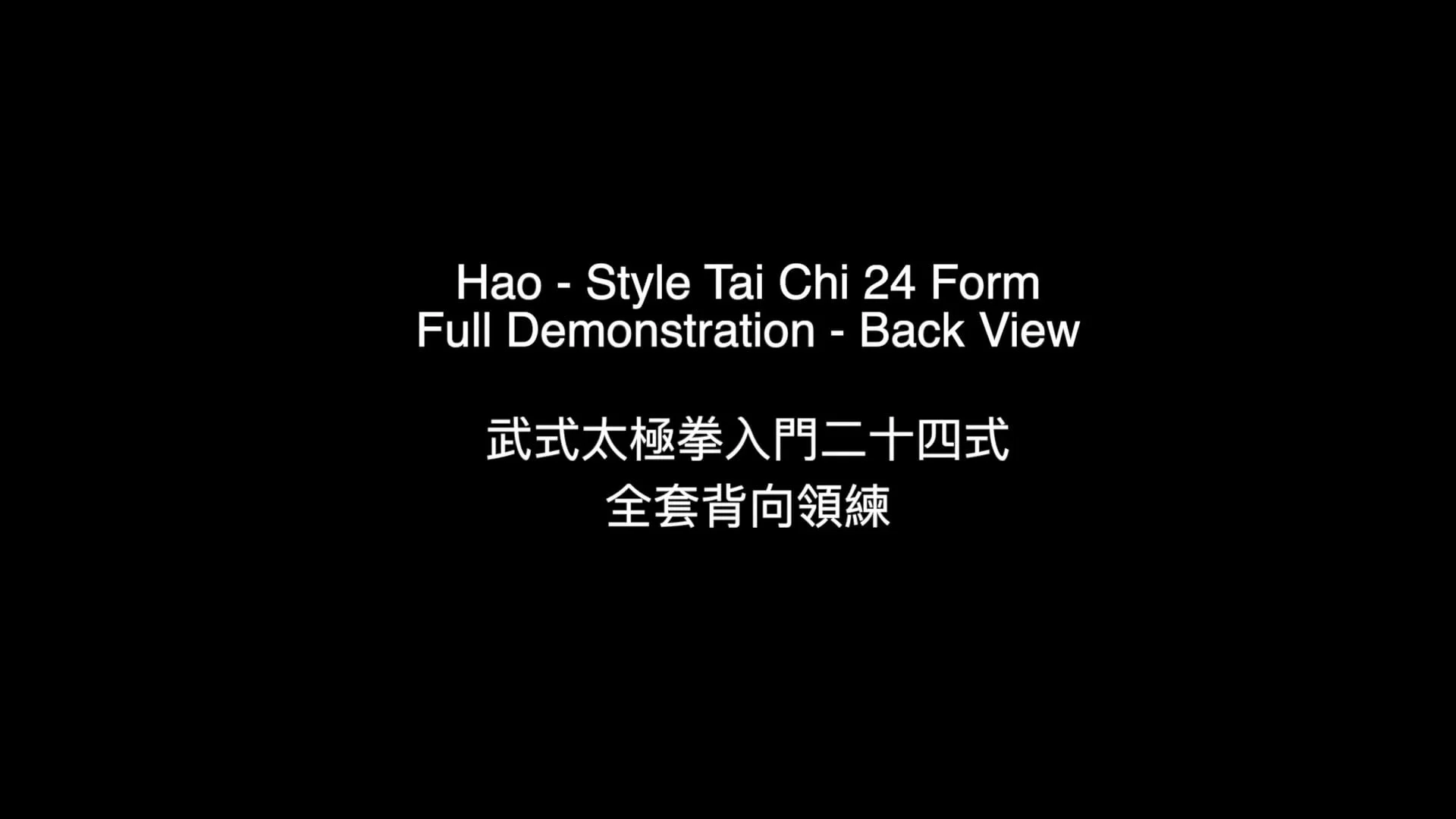 Hao-Style 24 Form – Back View