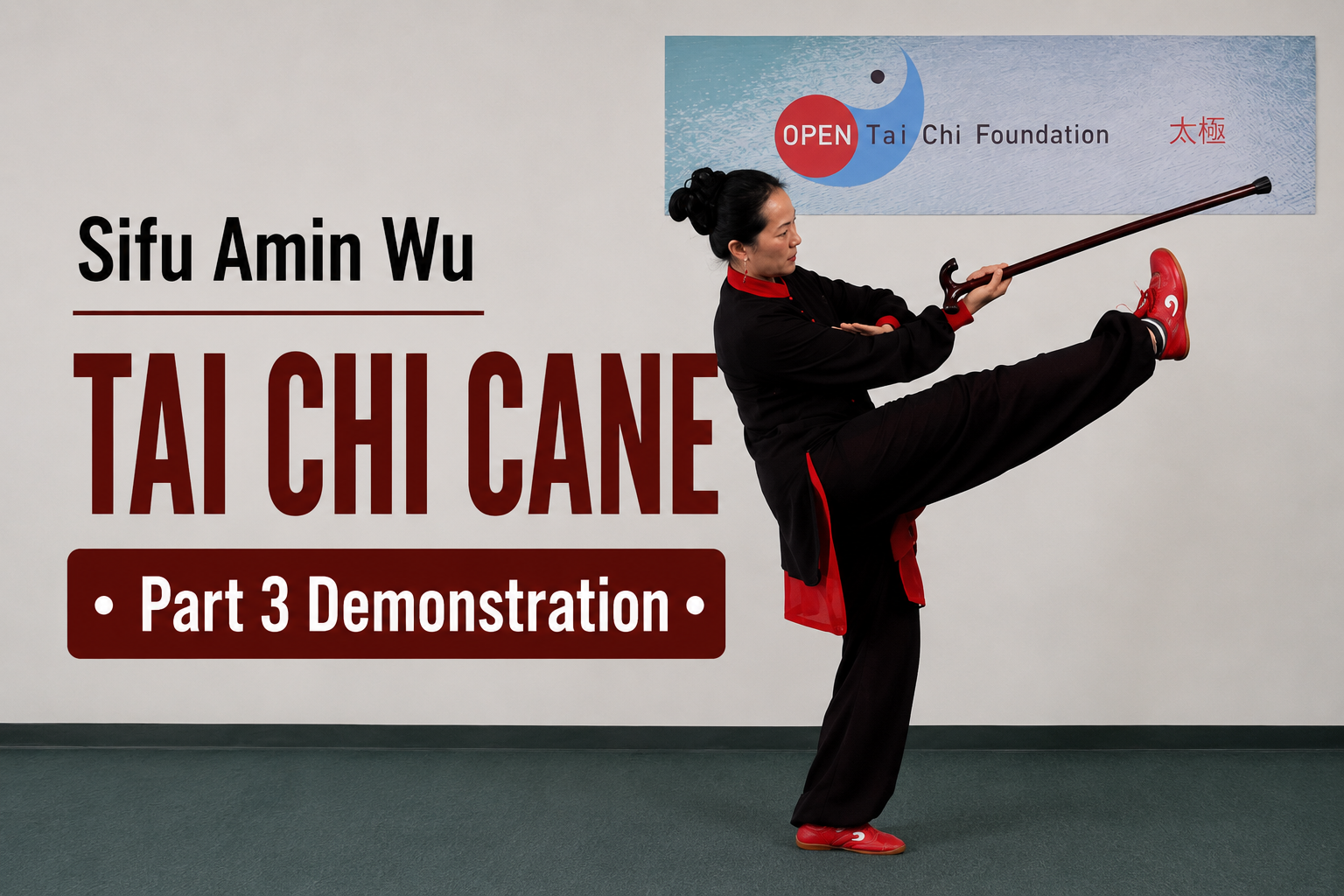 Tai Chi Cane 36 Form – Part 3 – Front &amp; Back Views