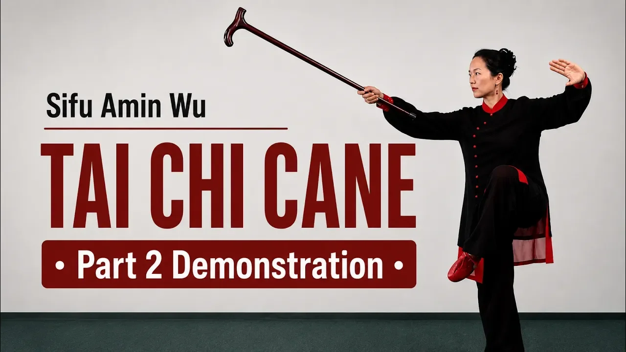 Tai Chi Cane 36 Form – Part 2 – Front &amp; Back Views