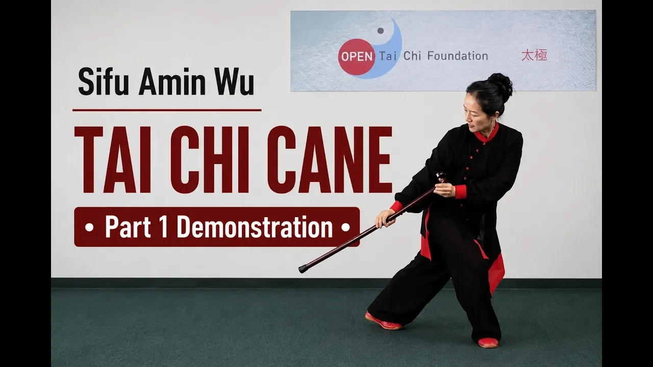 Tai Chi Cane 36 Form – Part 1 – Front &amp; Back Views