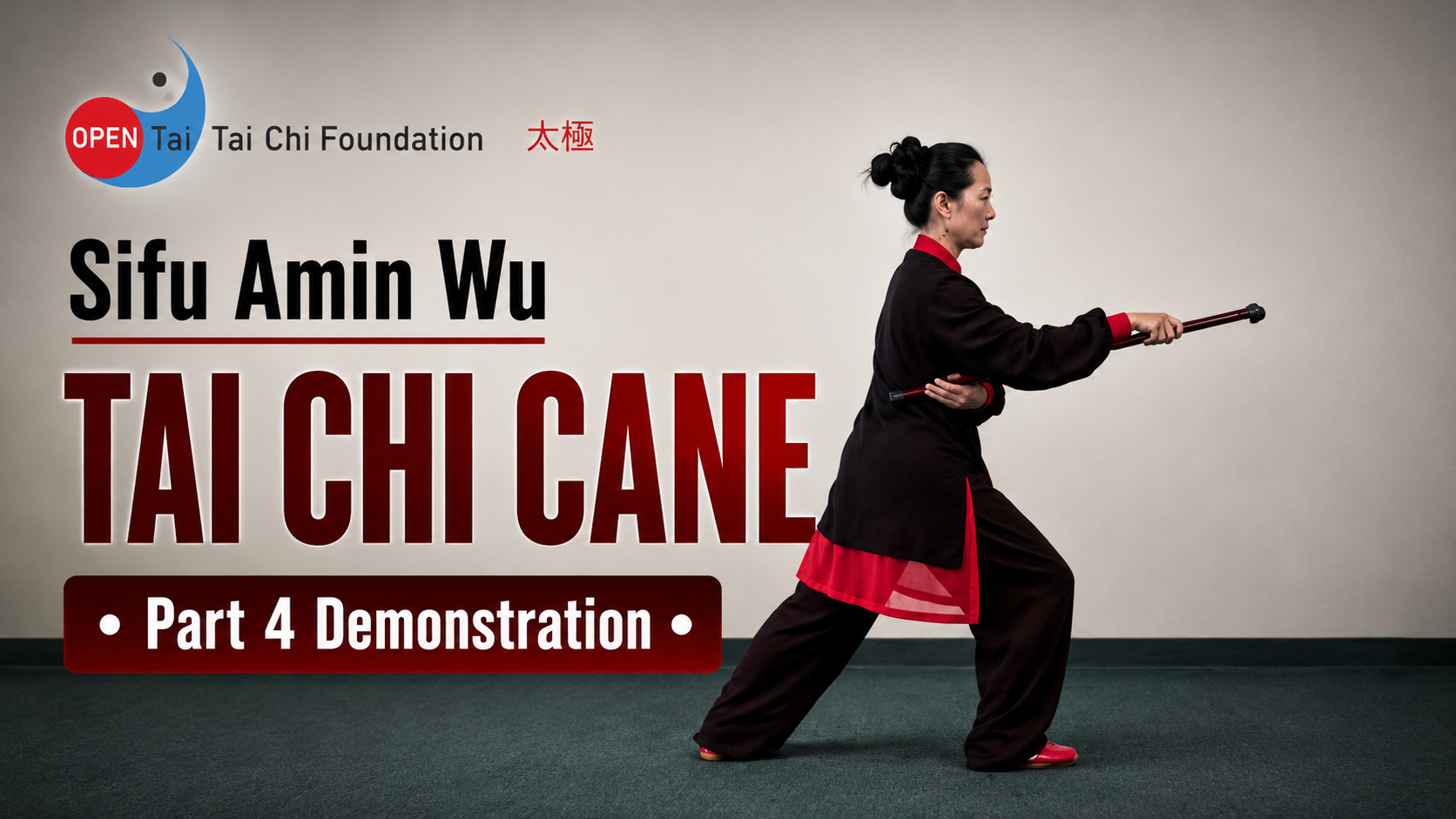 Tai Chi Cane 36 Form – Part 4 – Front &amp; Back Views