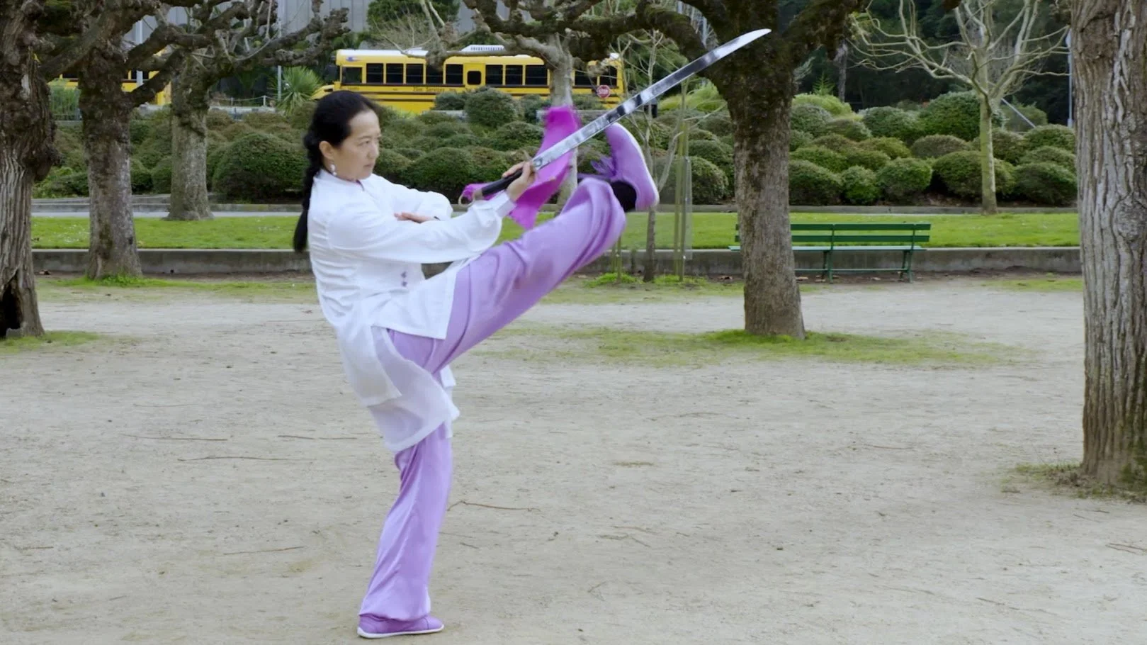 Wu-Style Broadsword 13 Form – Back View