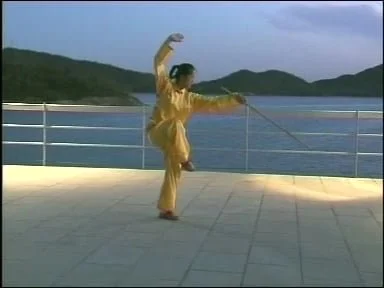 Tai Chi Stick 18 Form