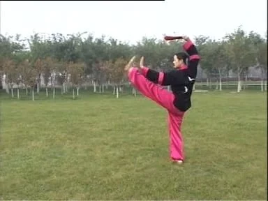 Tai Chi Fan 36 Form