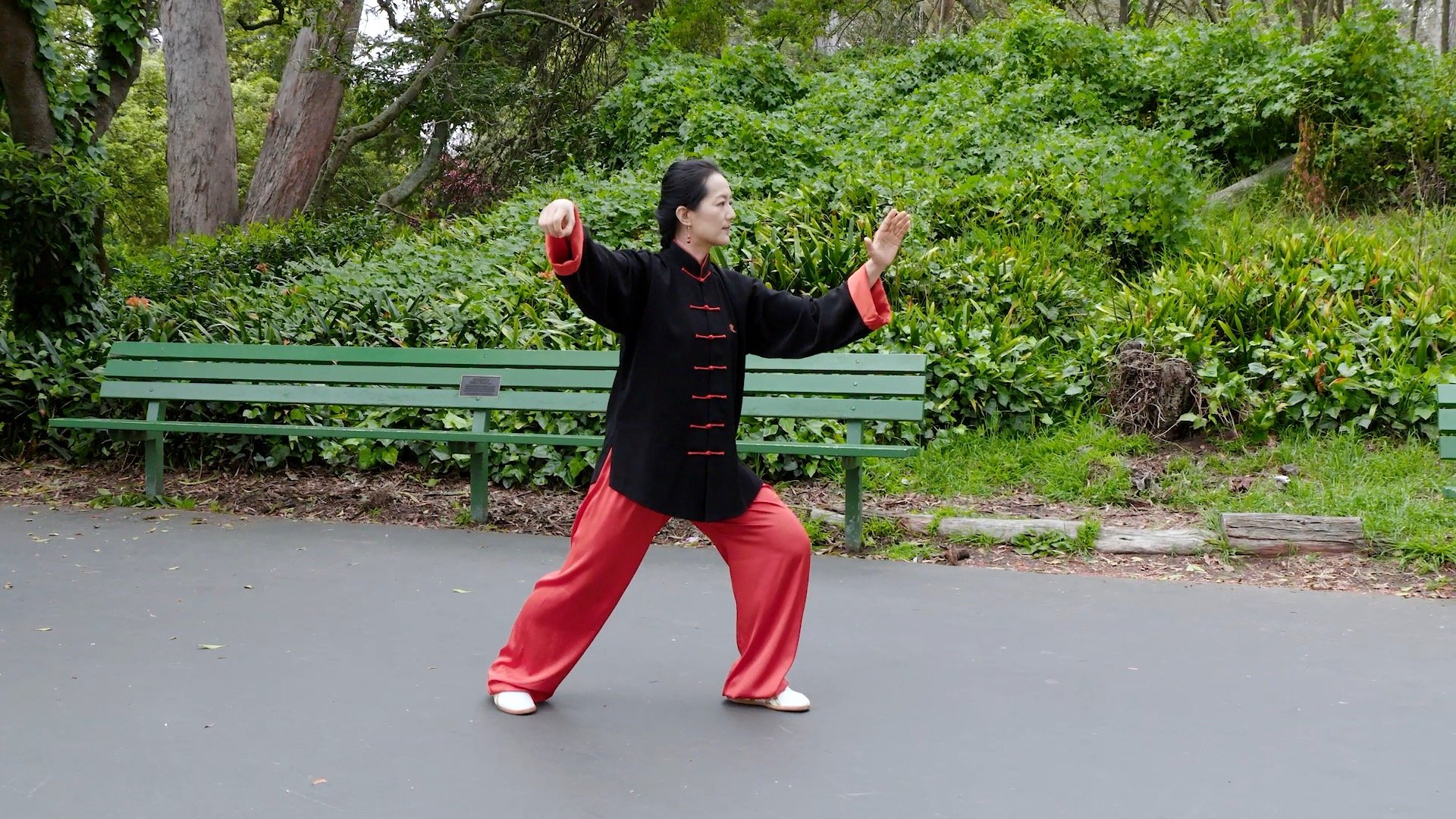 Yang-Style Traditional Form