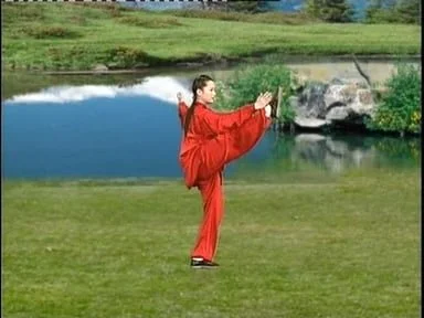吳式太極拳四十五式 | Wu-Style Tai Chi 45 Form