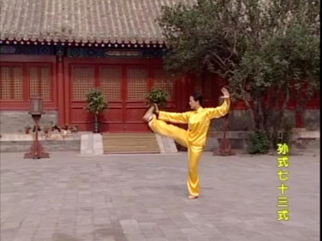 孫式太極拳七十三式 | Sun-Style Tai Chi 73 Form
