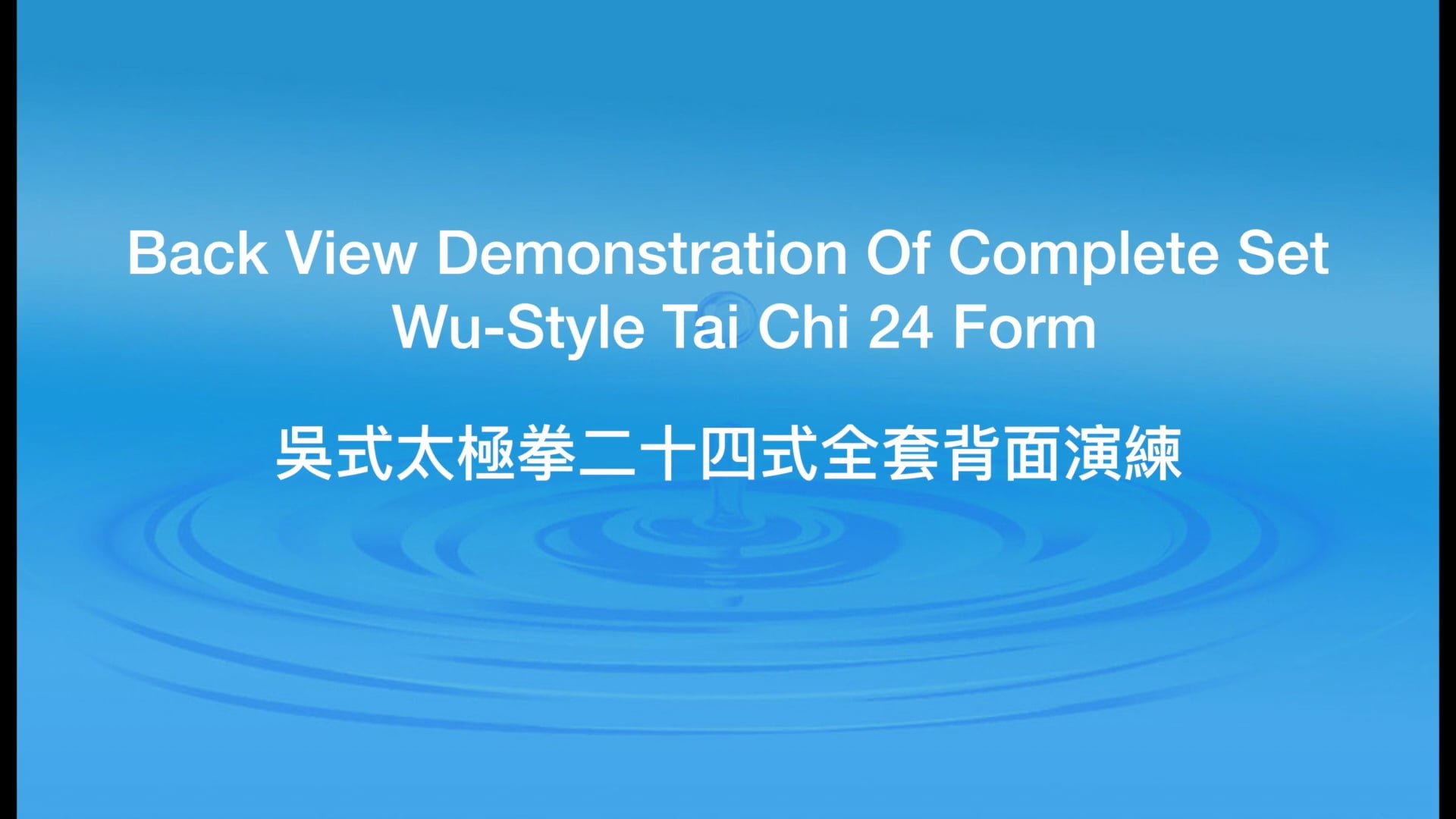 Wu-Style 24 Form – Back View