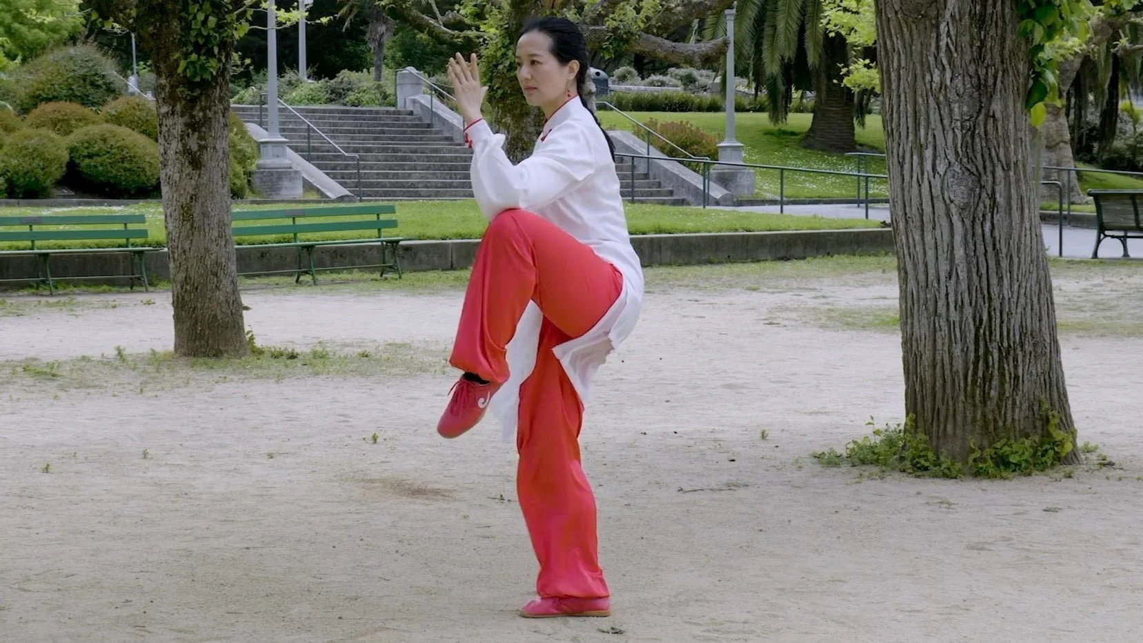 Yang-Style Traditional Form – Back View