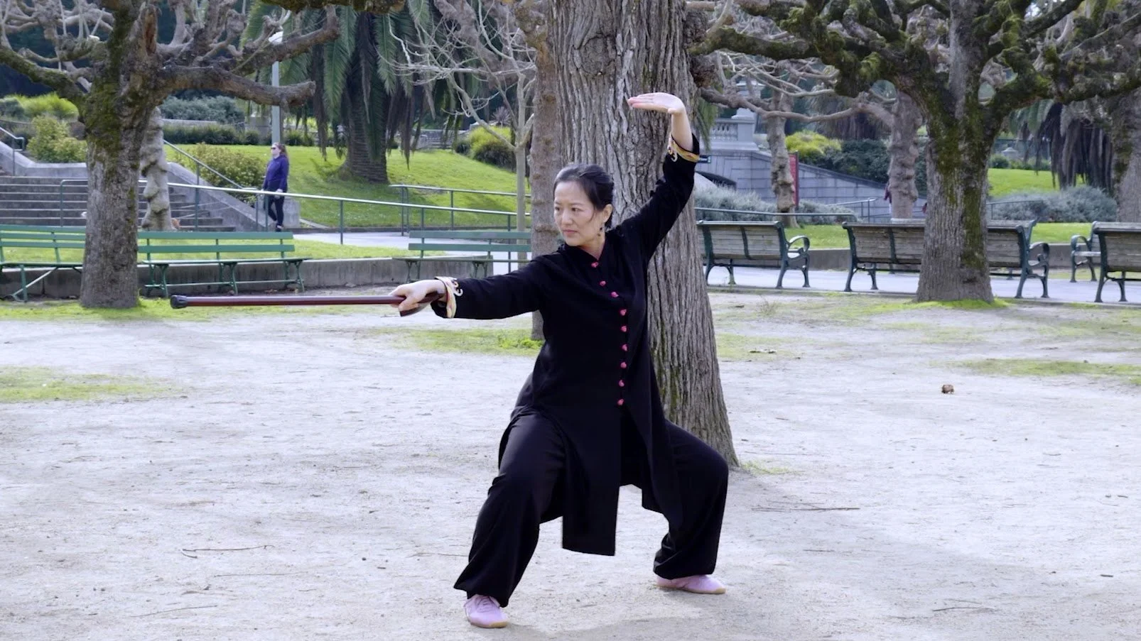 Tai Chi Cane 36 Form – Back View