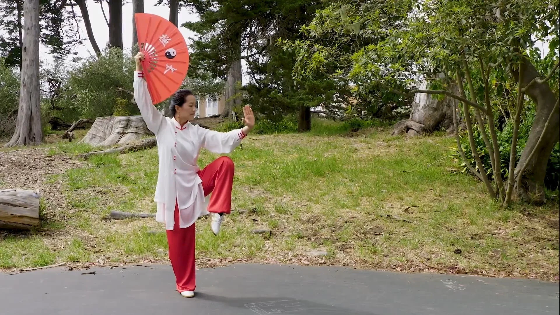 Combination Fan 36 Form – Front View