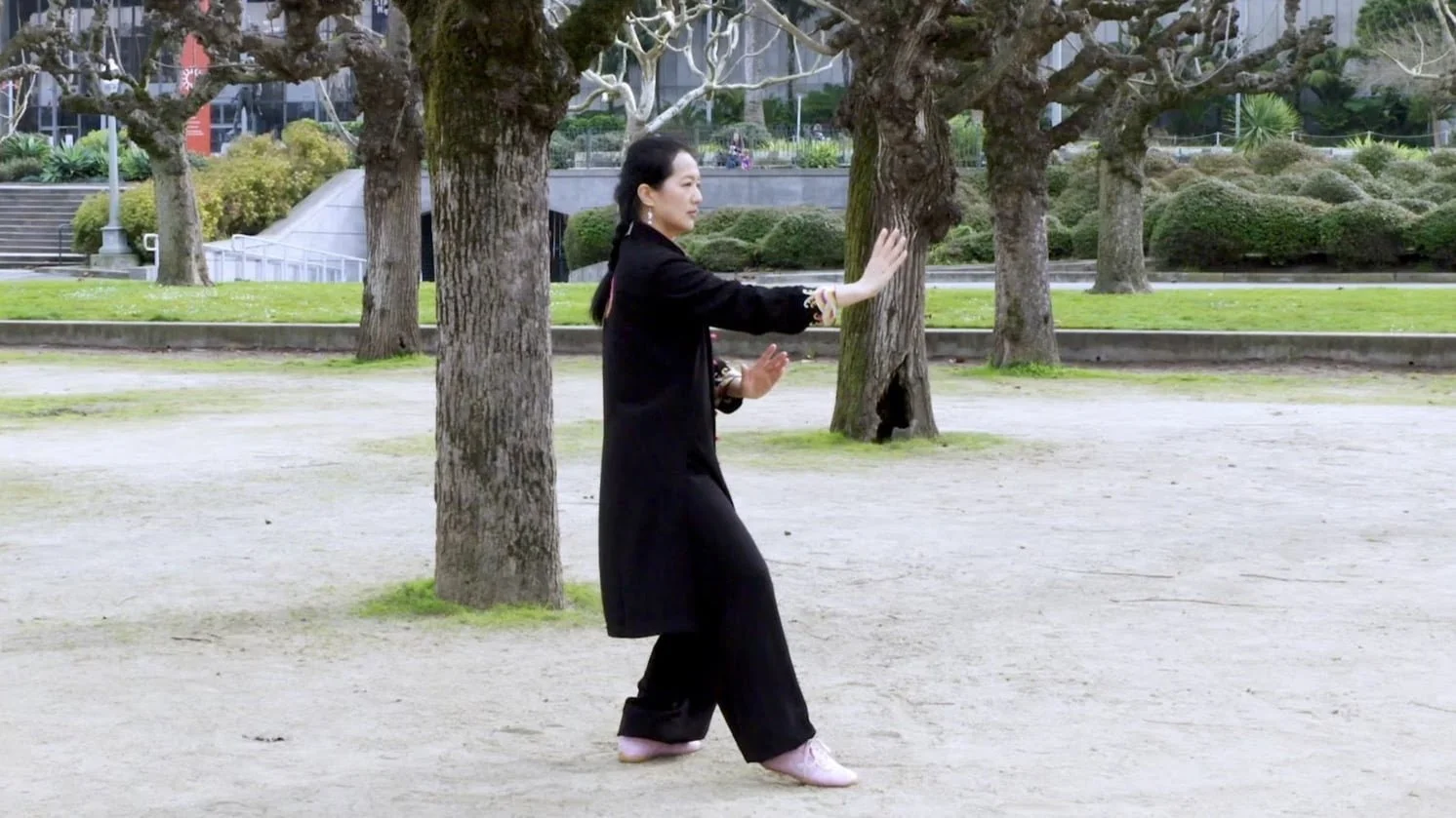 Chen-Style 36 Form – Back View