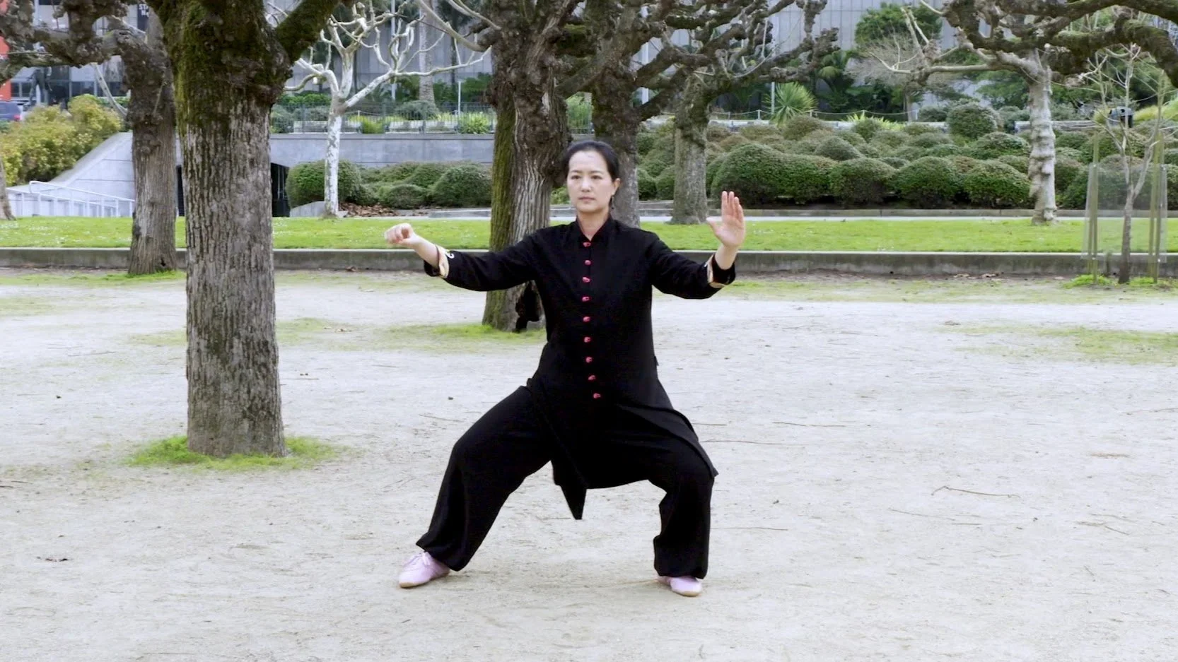 Chen-Style 36 Form - Front View