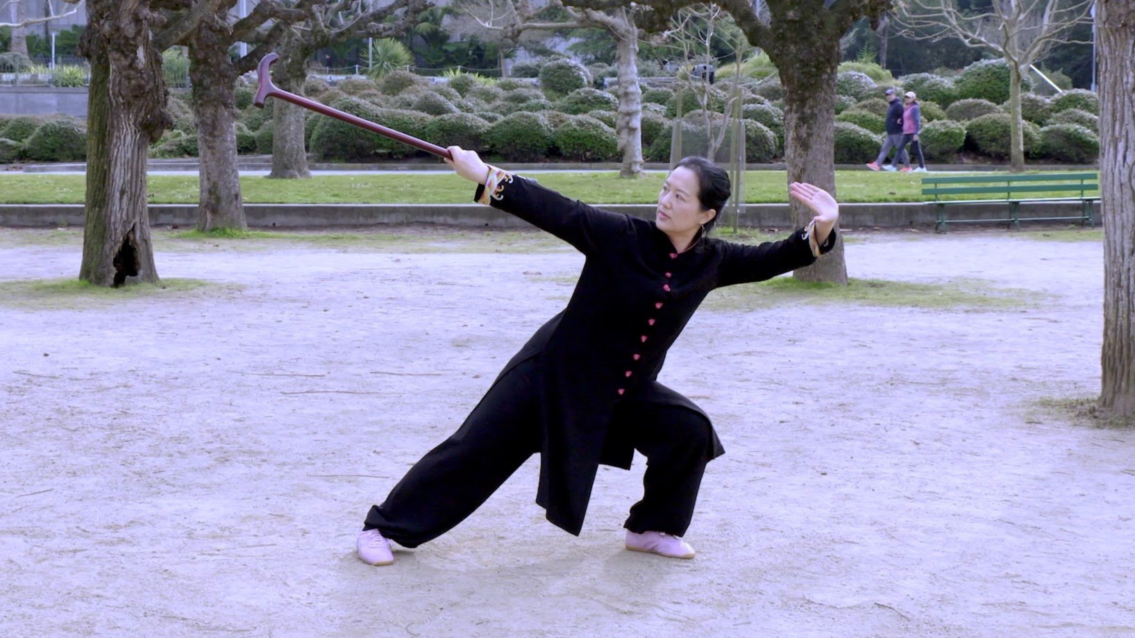 Tai Chi Cane 36 Form – Front View