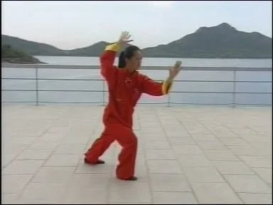 吳式太極拳九十三式 | Wu-Style Tai Chi 93 Form