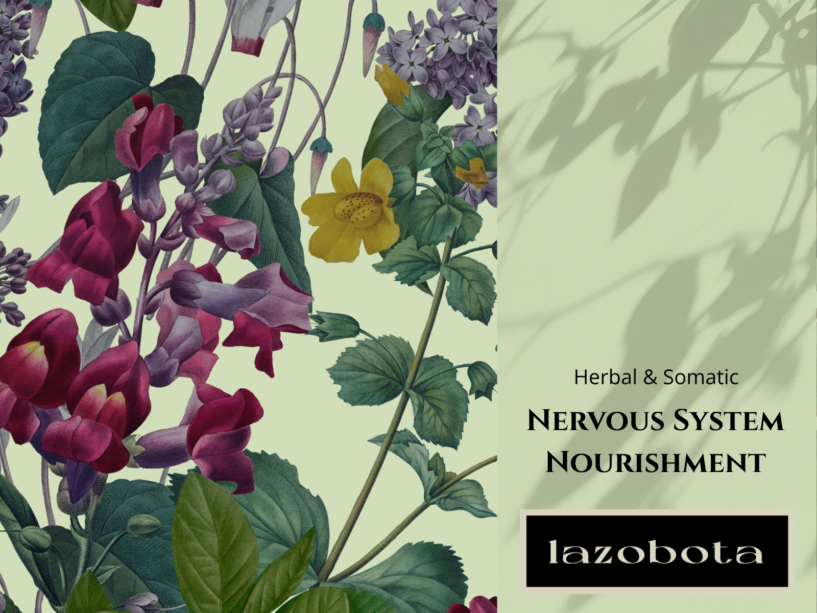 Herbal and Somatic Nervous System Nourishment