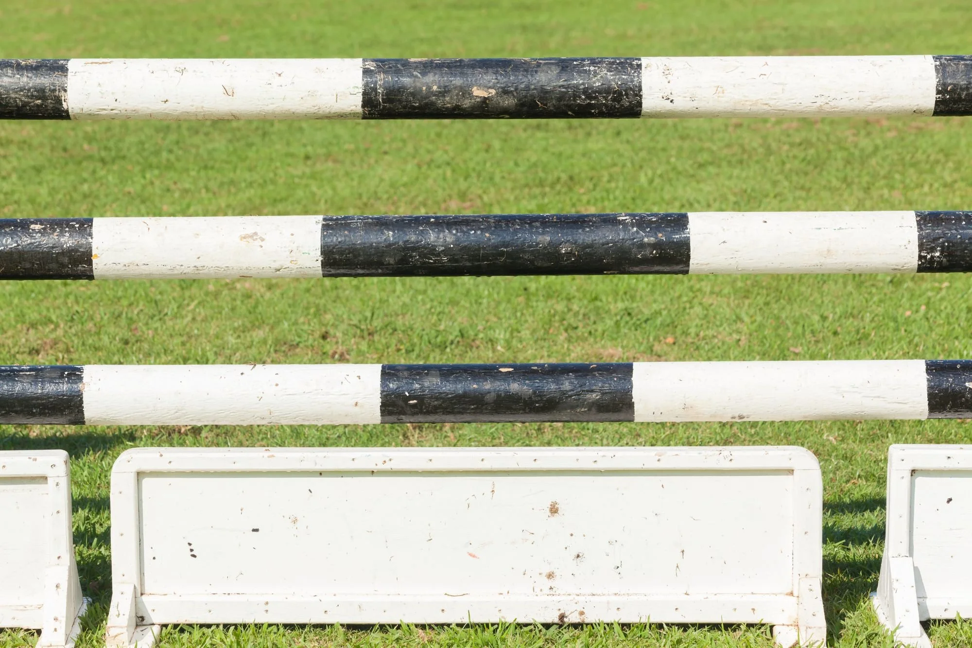 Instagram for Equestrian Brands