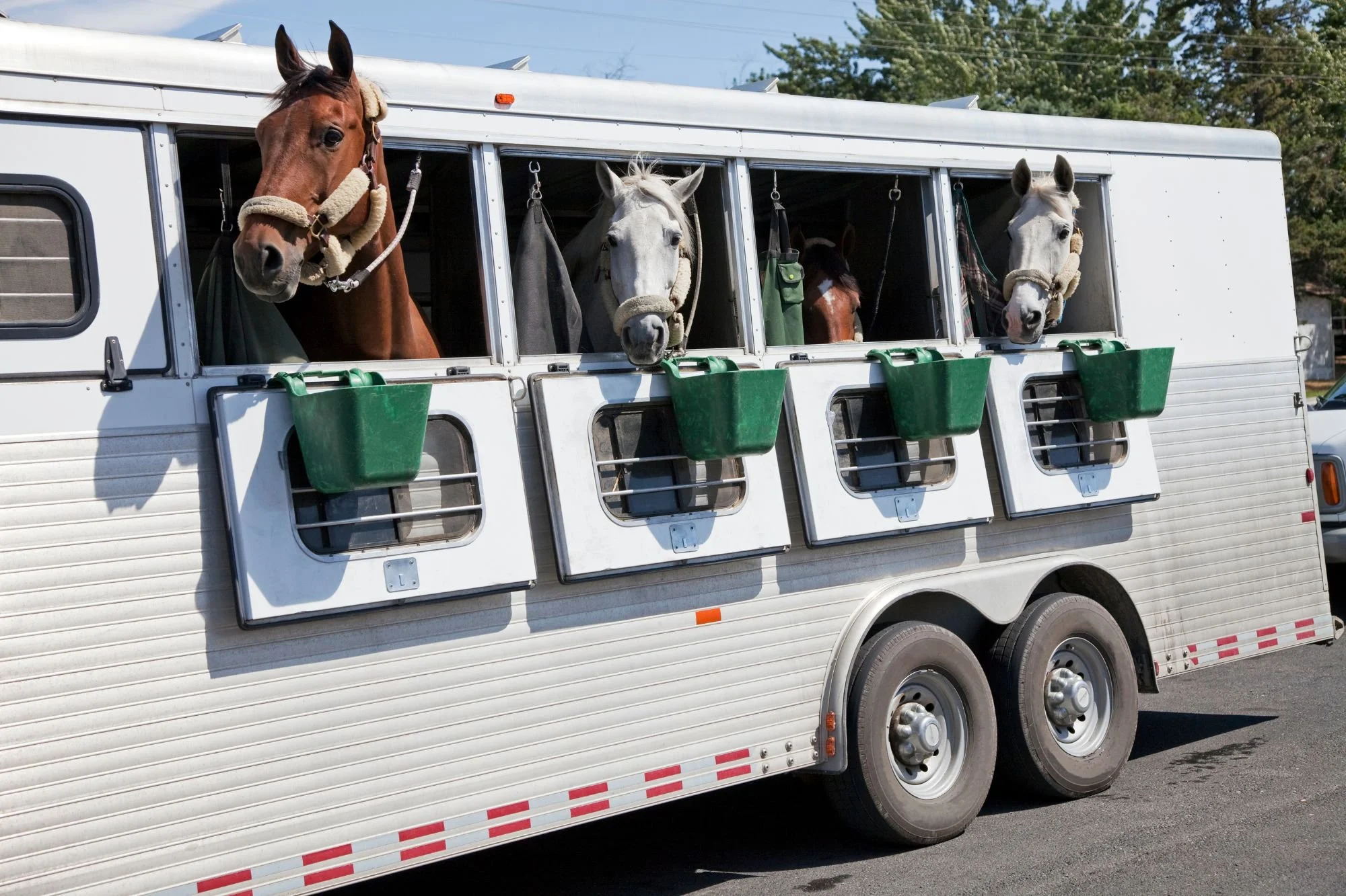 Archer Equine Transportation