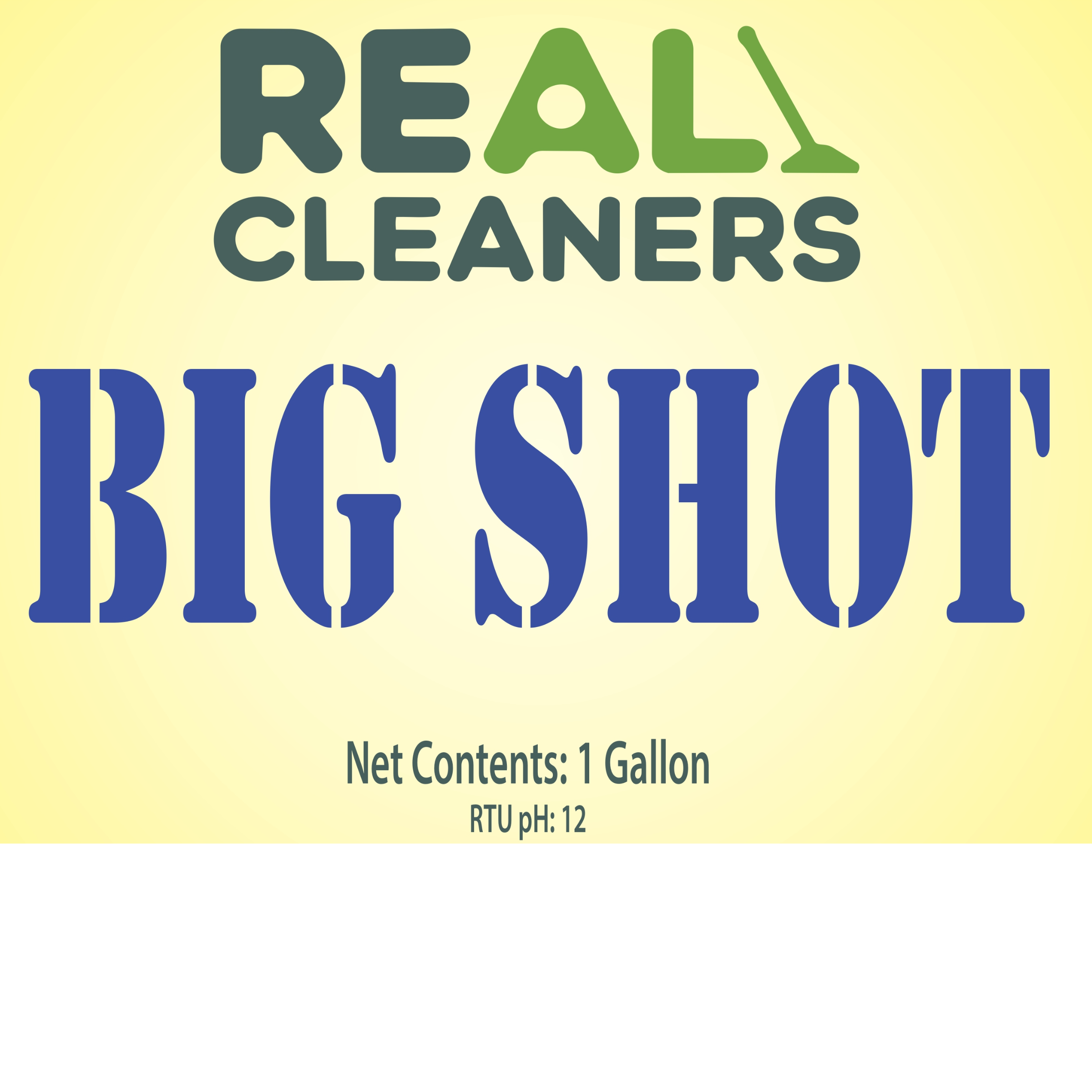 Big Shot Heavy-Duty Carpet Spotter