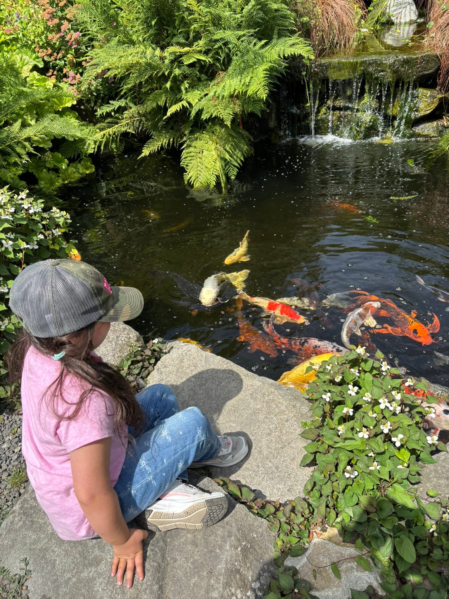 Such a fun day with Bailey today. Went out to Falling Waters Nursery in Monroe to get some water plants for my backyard water feature. Bailey sure was in her element. We then stippedvatvthhomish river to collect some rocks I needed for my bee bowls. 