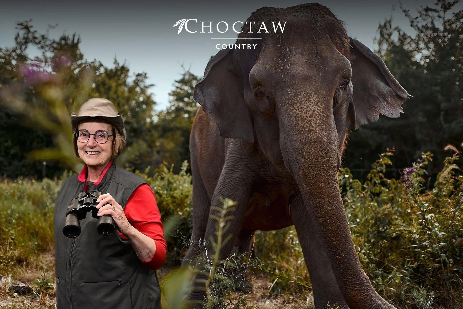 Went to the Travel Show today. I see a safari in my future.