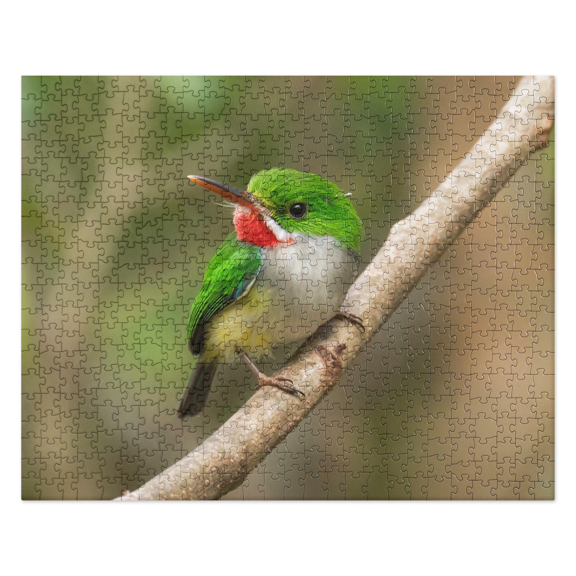jigsaw-puzzle-520-pieces-front-6a7563f2081bc.jpg