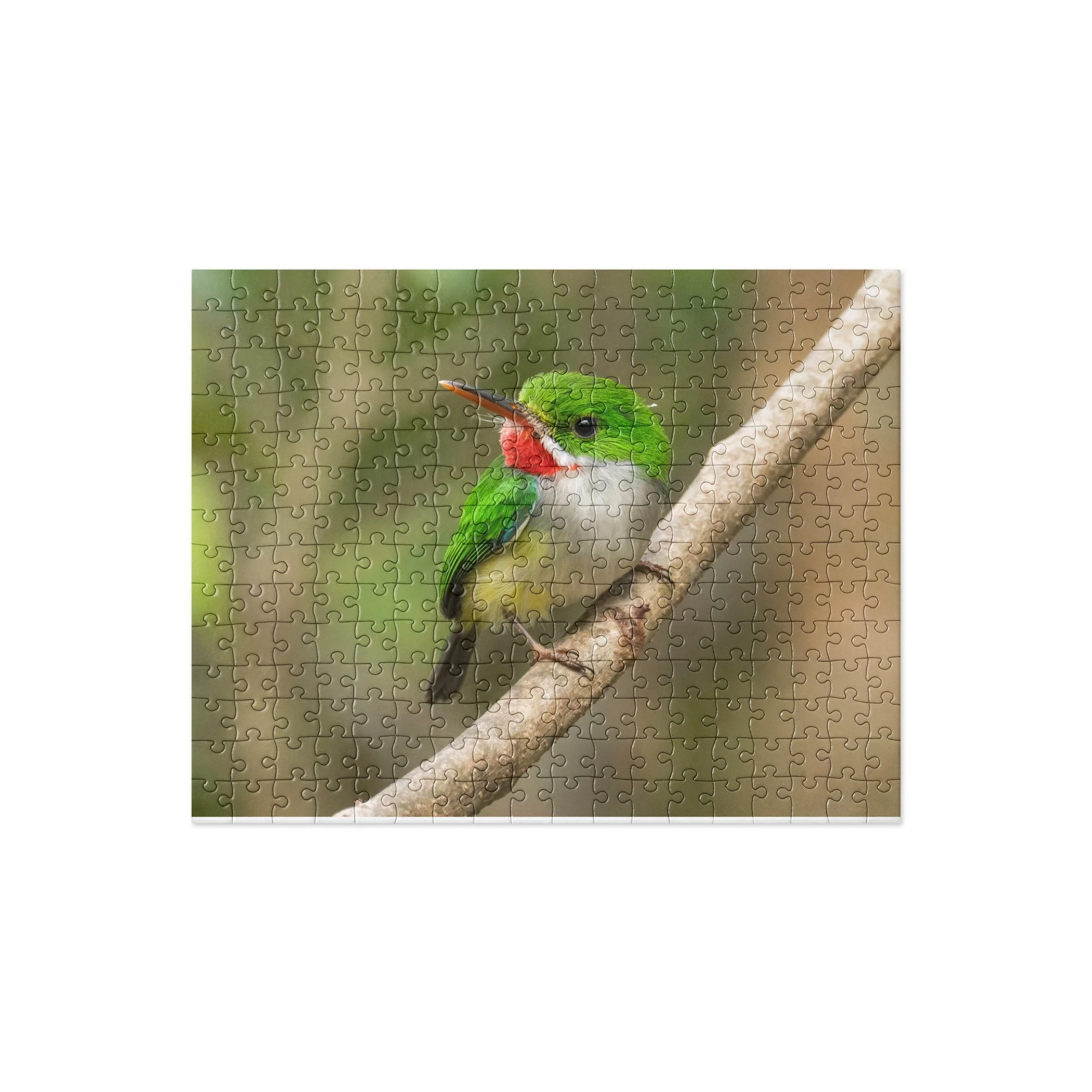 jigsaw-puzzle-252-pieces-front-6a756693a096d.jpg