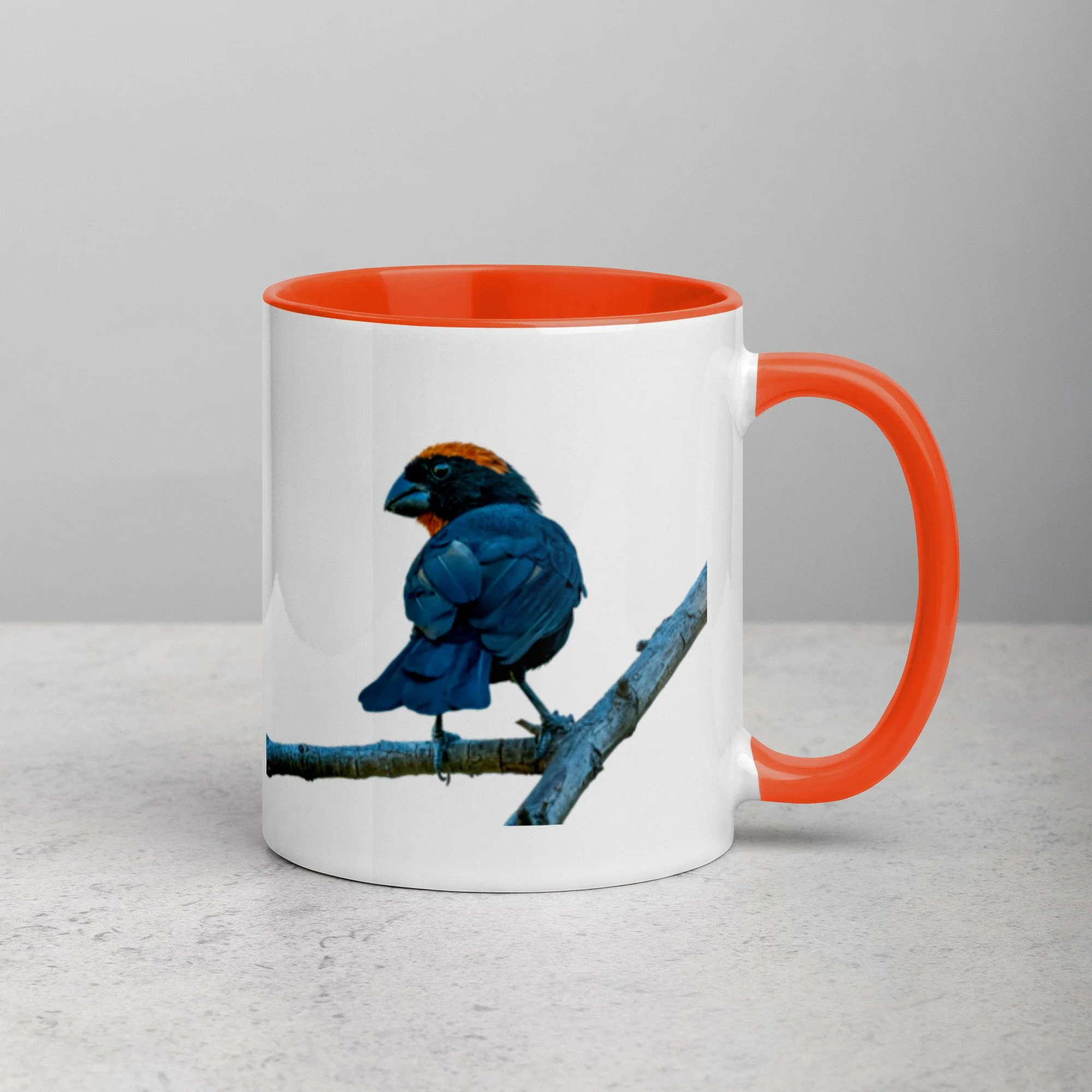 Puerto Rican Bullfinch