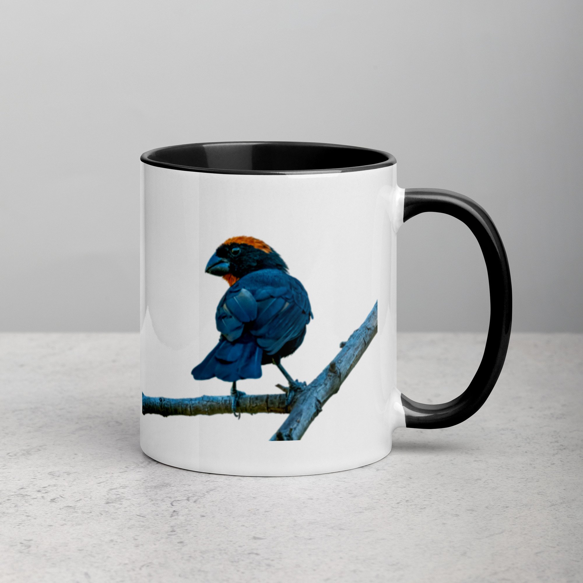 white-ceramic-mug-with-color-inside-black-11-oz-right-6a76a4d509d41.jpg