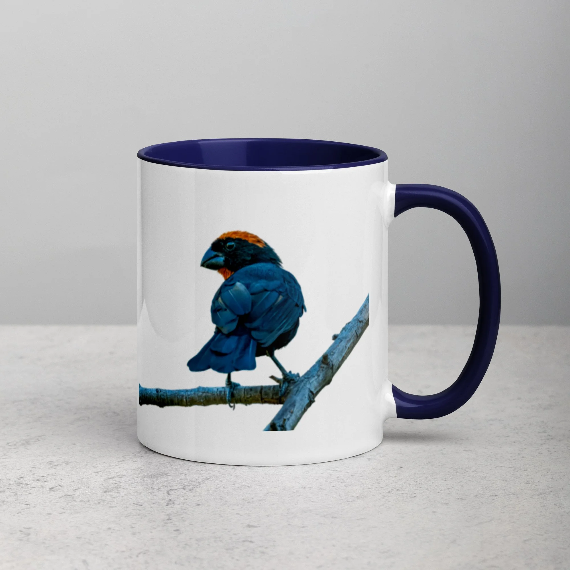 white-ceramic-mug-with-color-inside-dark-blue-11-oz-right-6a76a4d509dfb.jpg