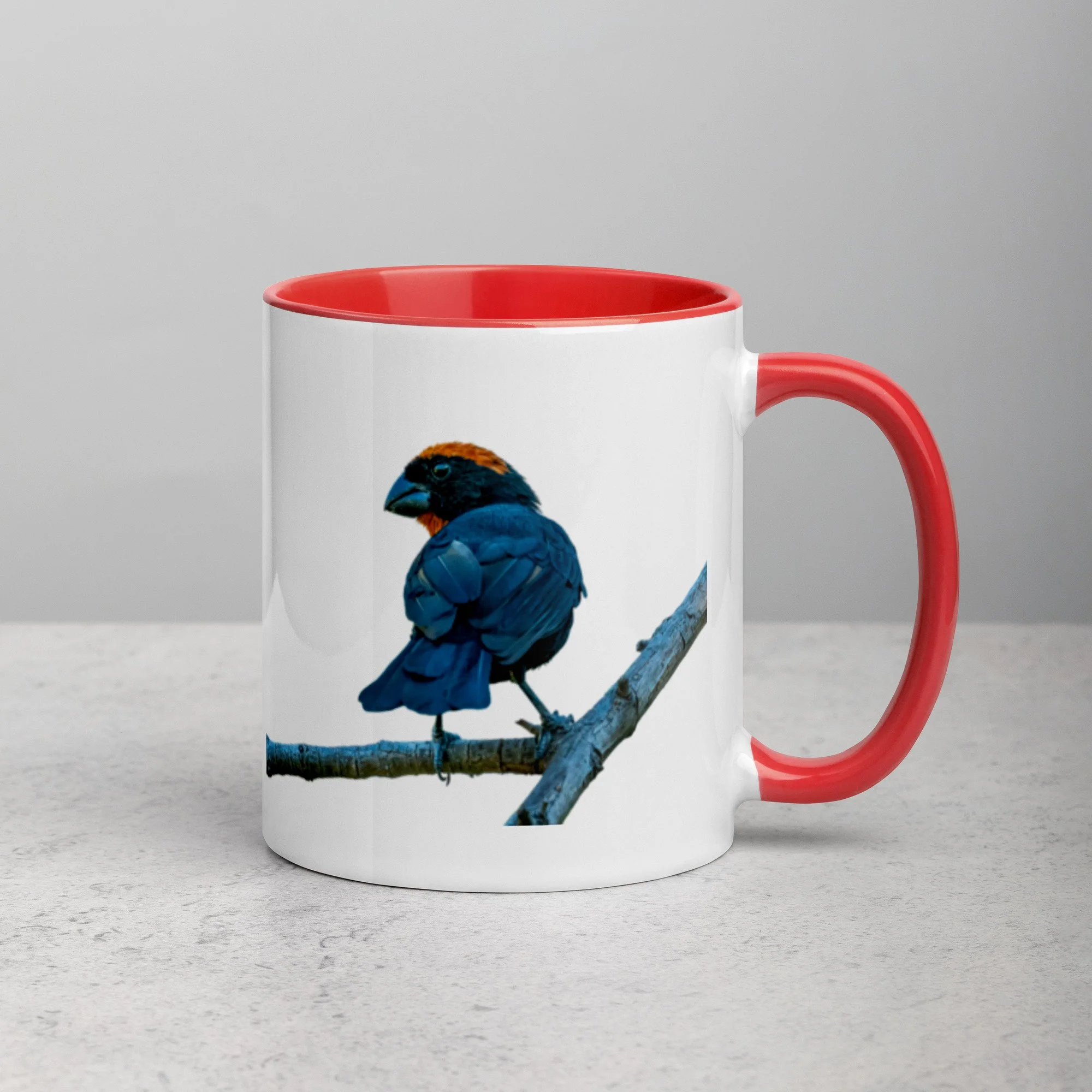 white-ceramic-mug-with-color-inside-red-11-oz-right-6a76a4d509e81.jpg