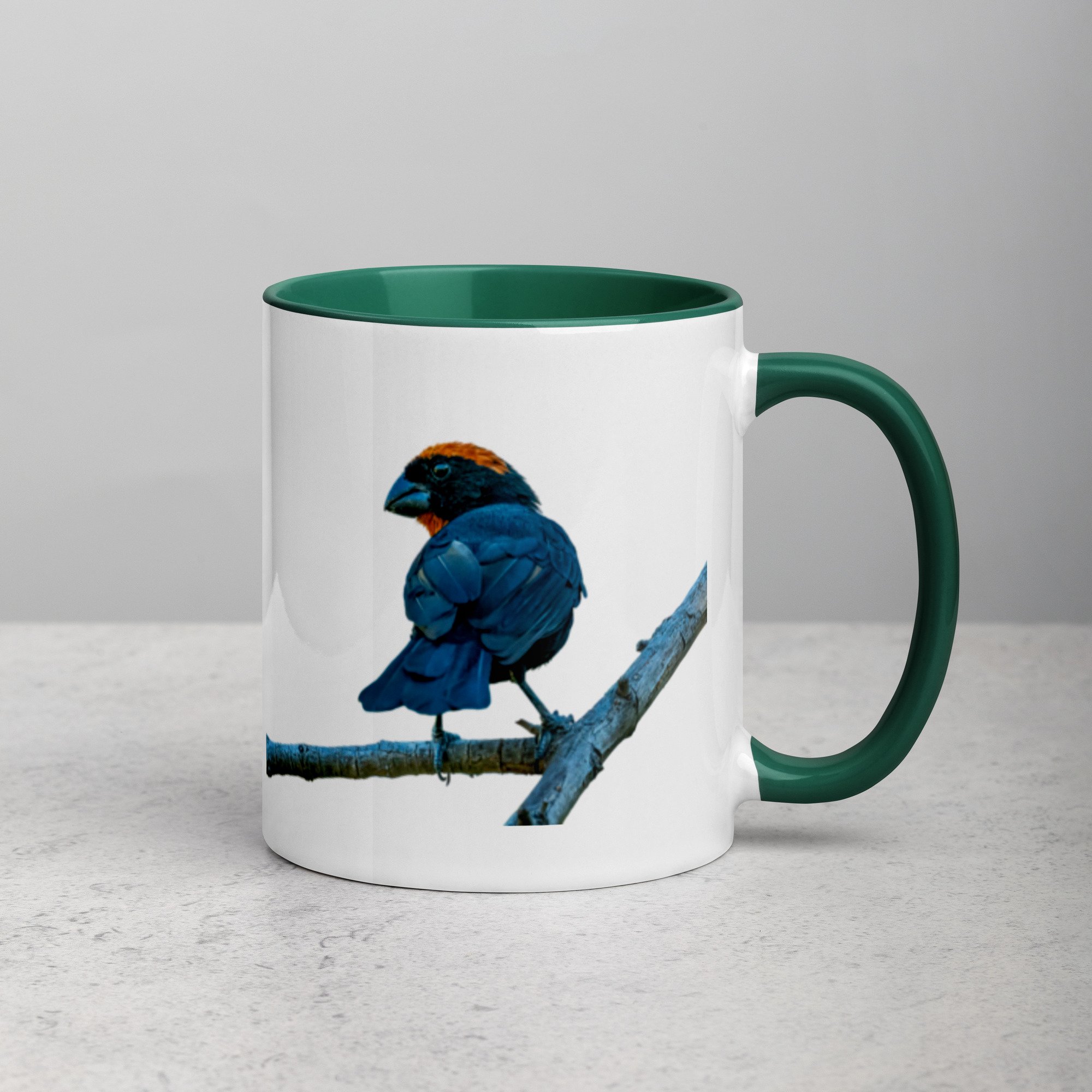 white-ceramic-mug-with-color-inside-dark-green-11-oz-right-6a76a4d509ef2.jpg