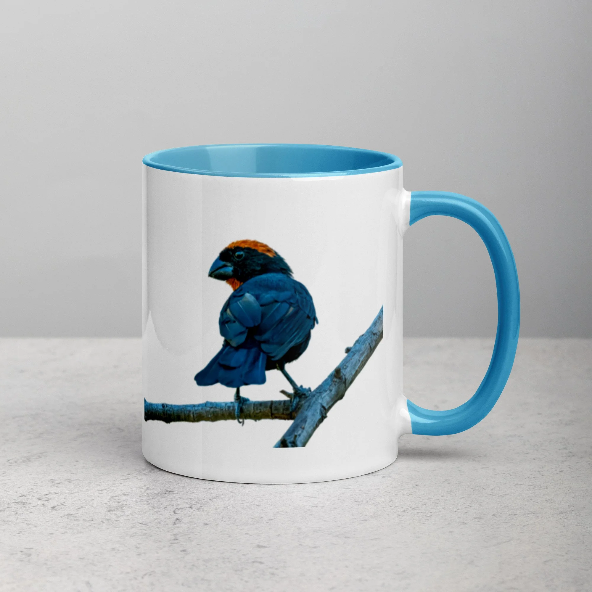 white-ceramic-mug-with-color-inside-blue-11-oz-right-6a76a4d509fbc.jpg