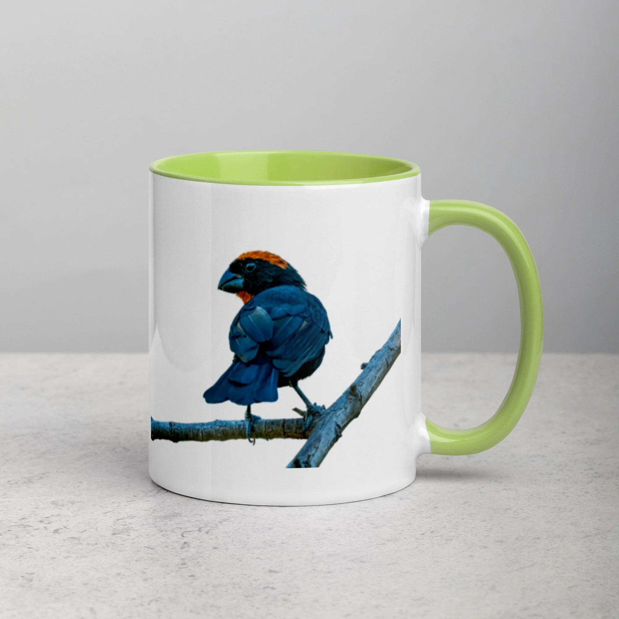 white-ceramic-mug-with-color-inside-green-11-oz-right-6a76a4d50a132.jpg