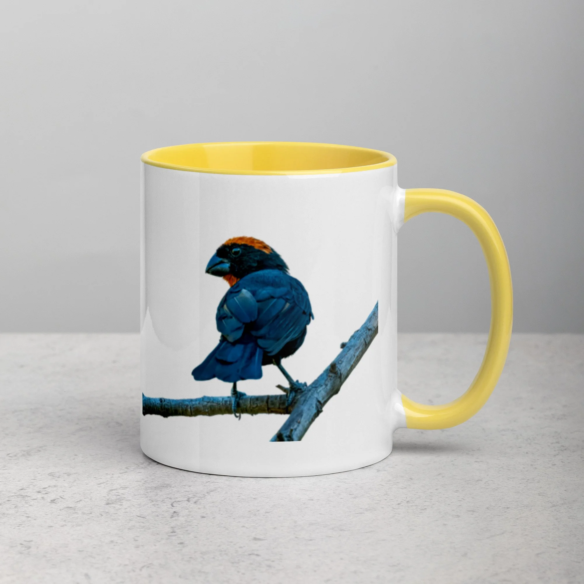 white-ceramic-mug-with-color-inside-yellow-11-oz-right-6a76a4d50a19d.jpg