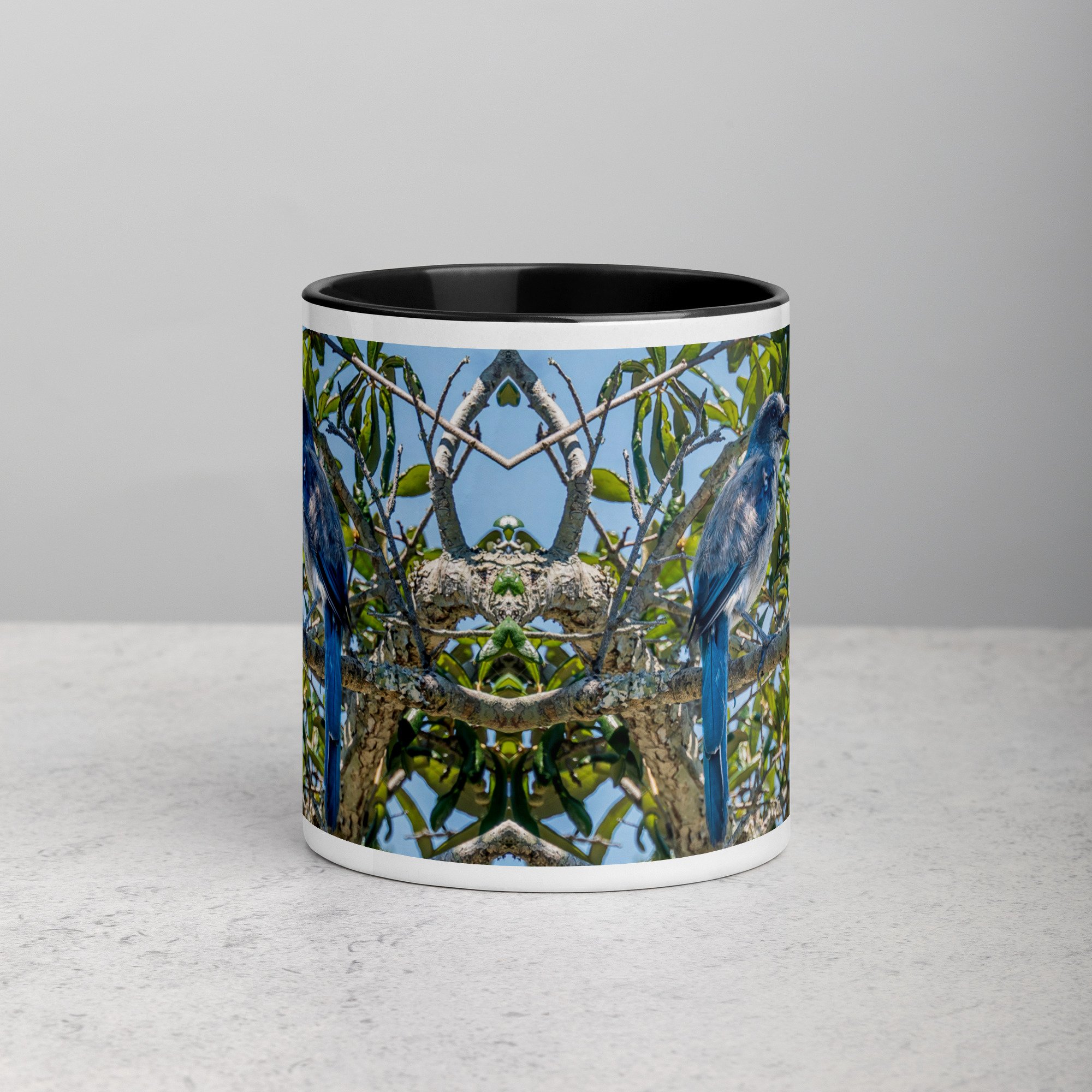 white-ceramic-mug-with-color-inside-black-11-oz-front-6a76b4e0d7289.jpg