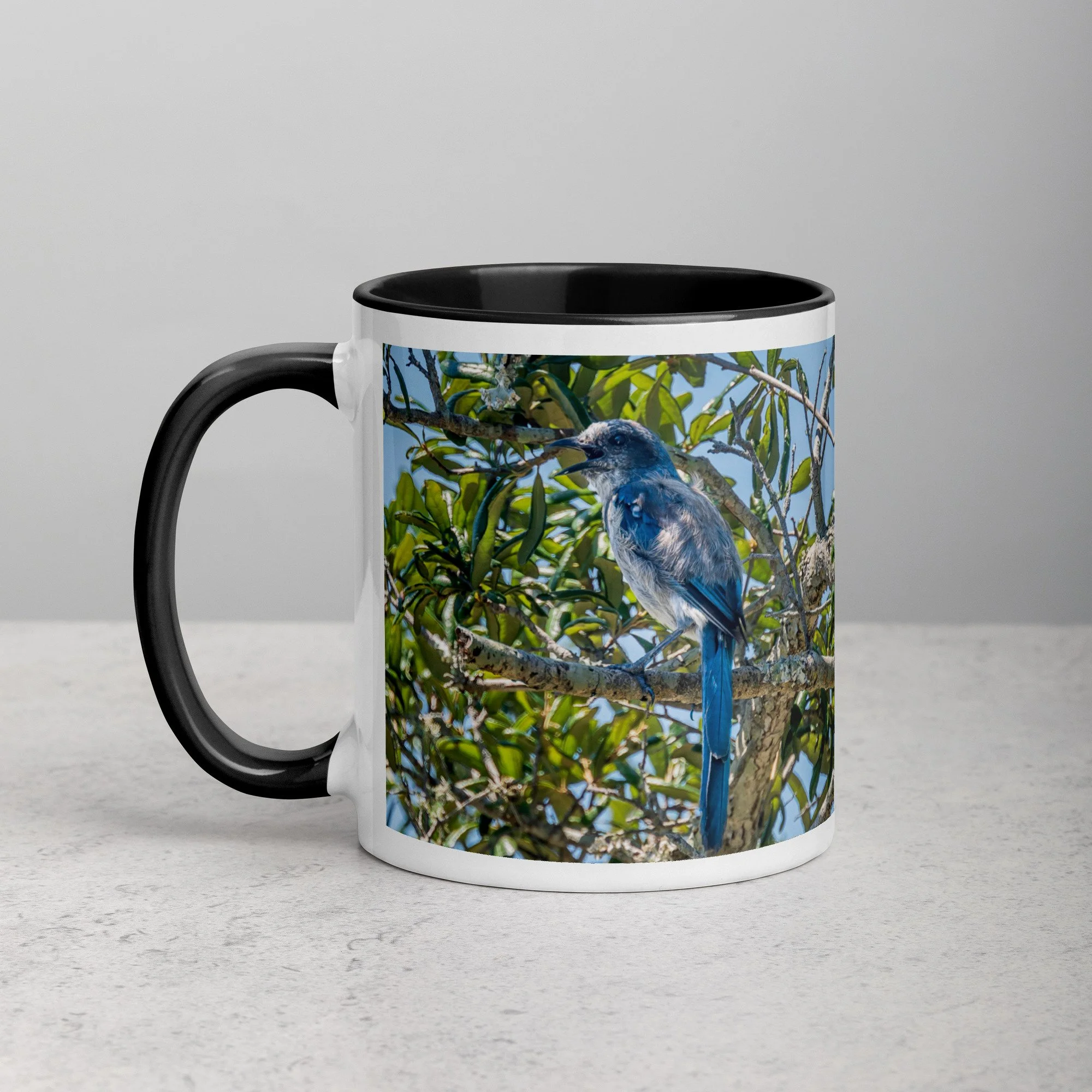 white-ceramic-mug-with-color-inside-black-11-oz-left-6a76b4e0d72c6.jpg