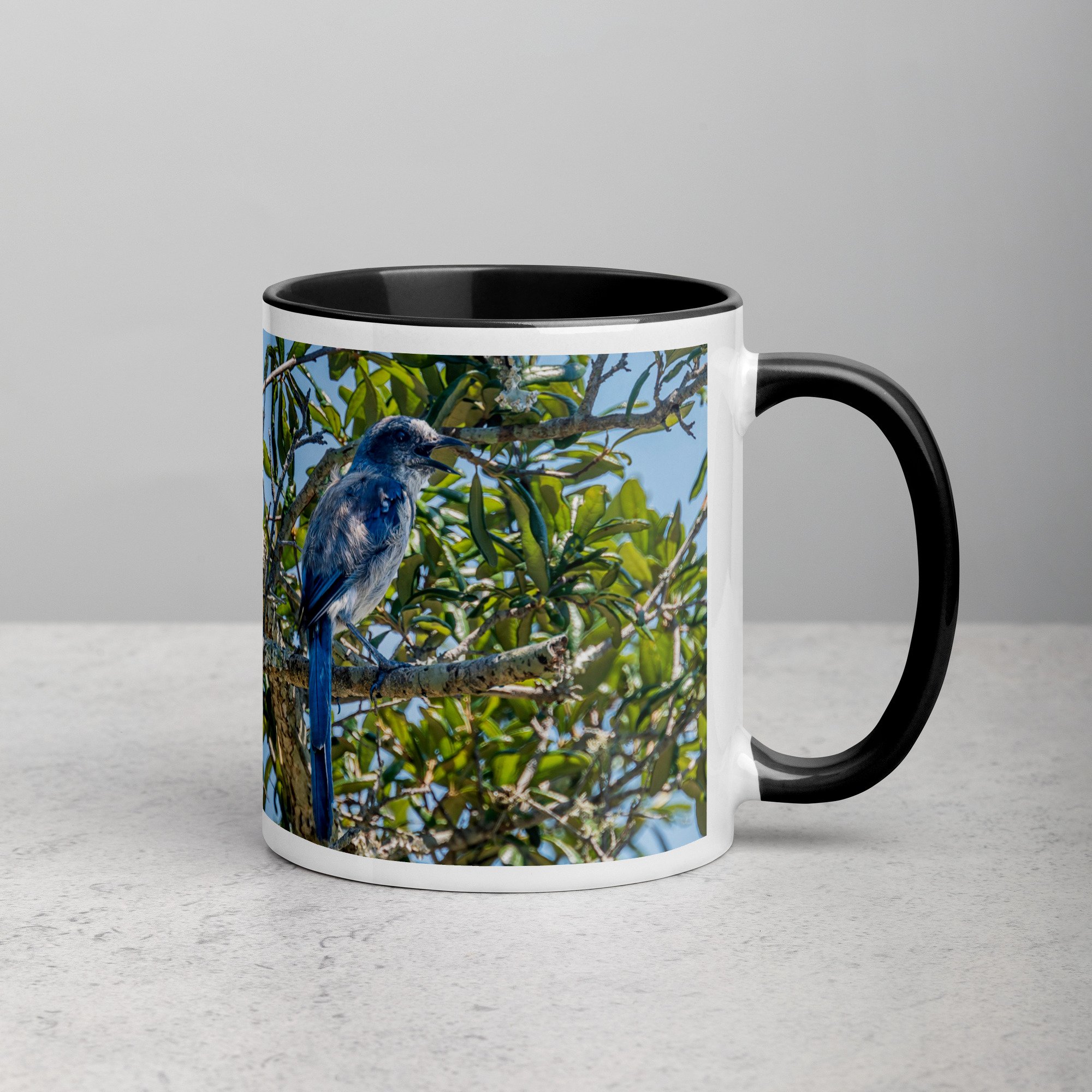 white-ceramic-mug-with-color-inside-black-11-oz-right-6a76b4e0d72f8.jpg