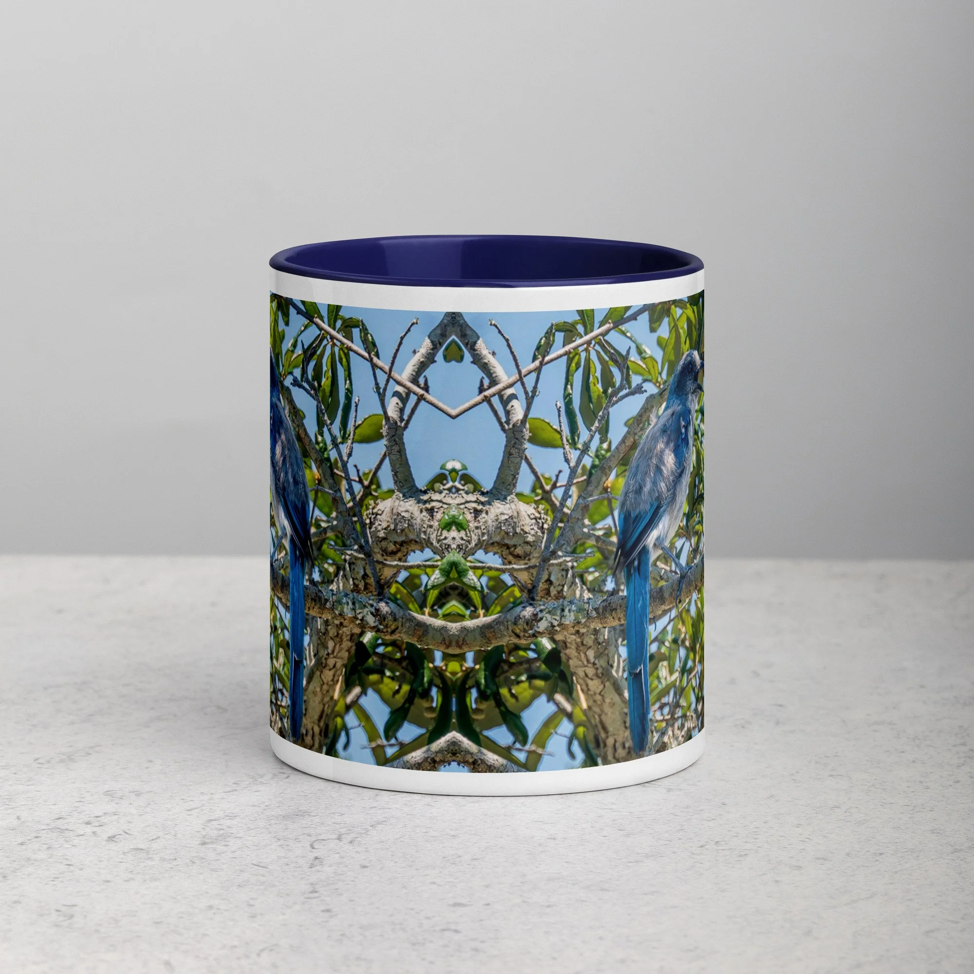 white-ceramic-mug-with-color-inside-dark-blue-11-oz-front-6a76b4e0d7349.jpg