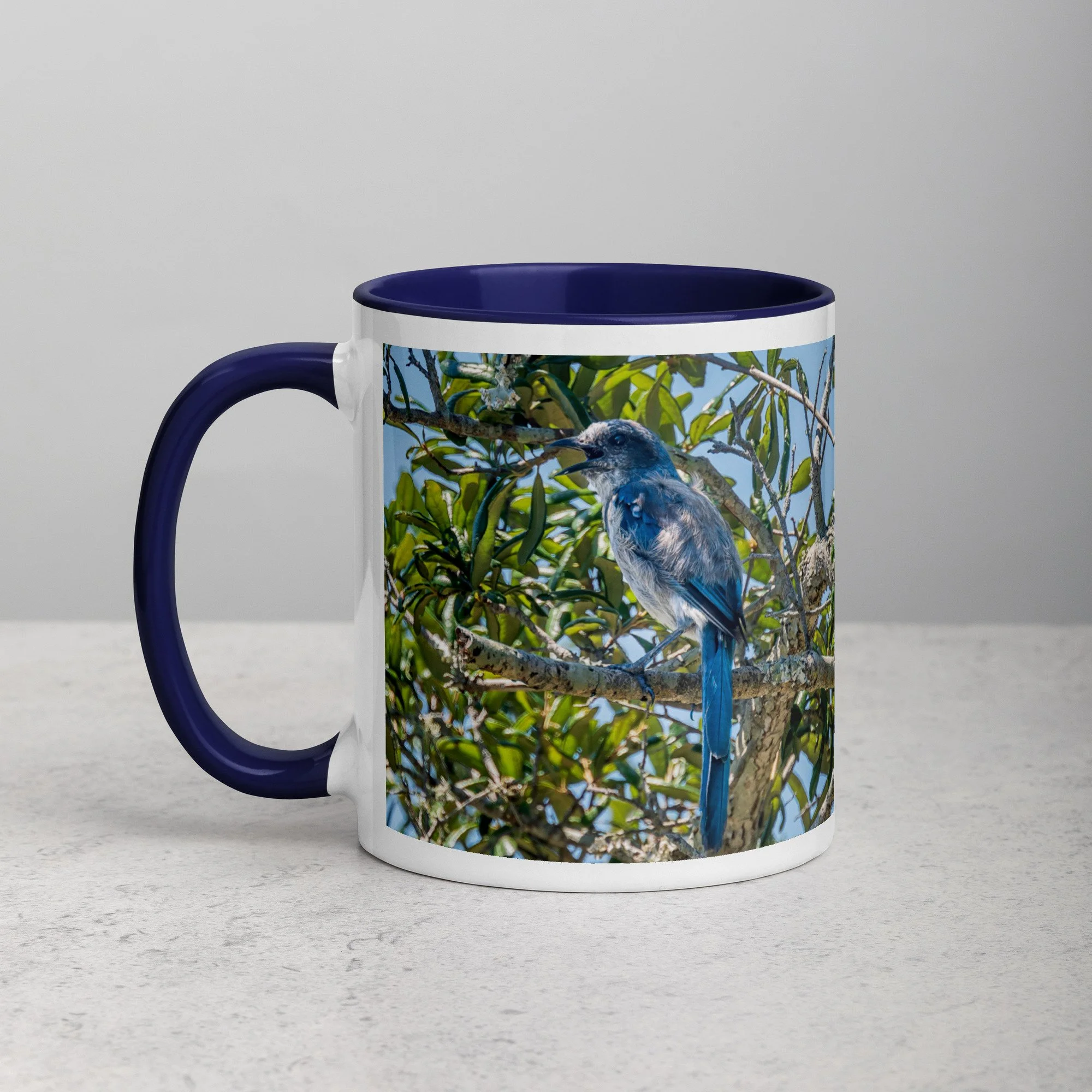 white-ceramic-mug-with-color-inside-dark-blue-11-oz-left-6a76b4e0d736a.jpg