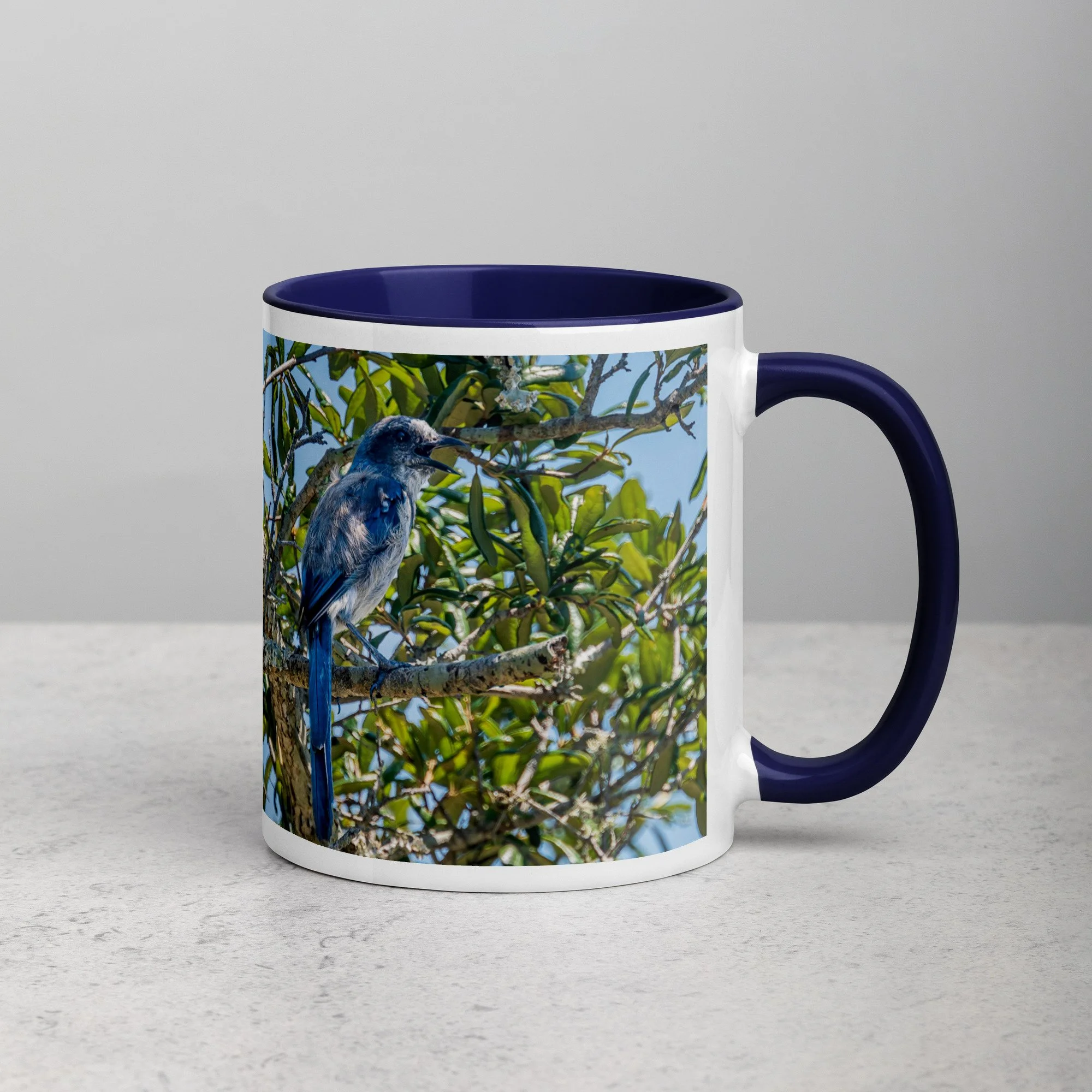 white-ceramic-mug-with-color-inside-dark-blue-11-oz-right-6a76b4e0d7387.jpg