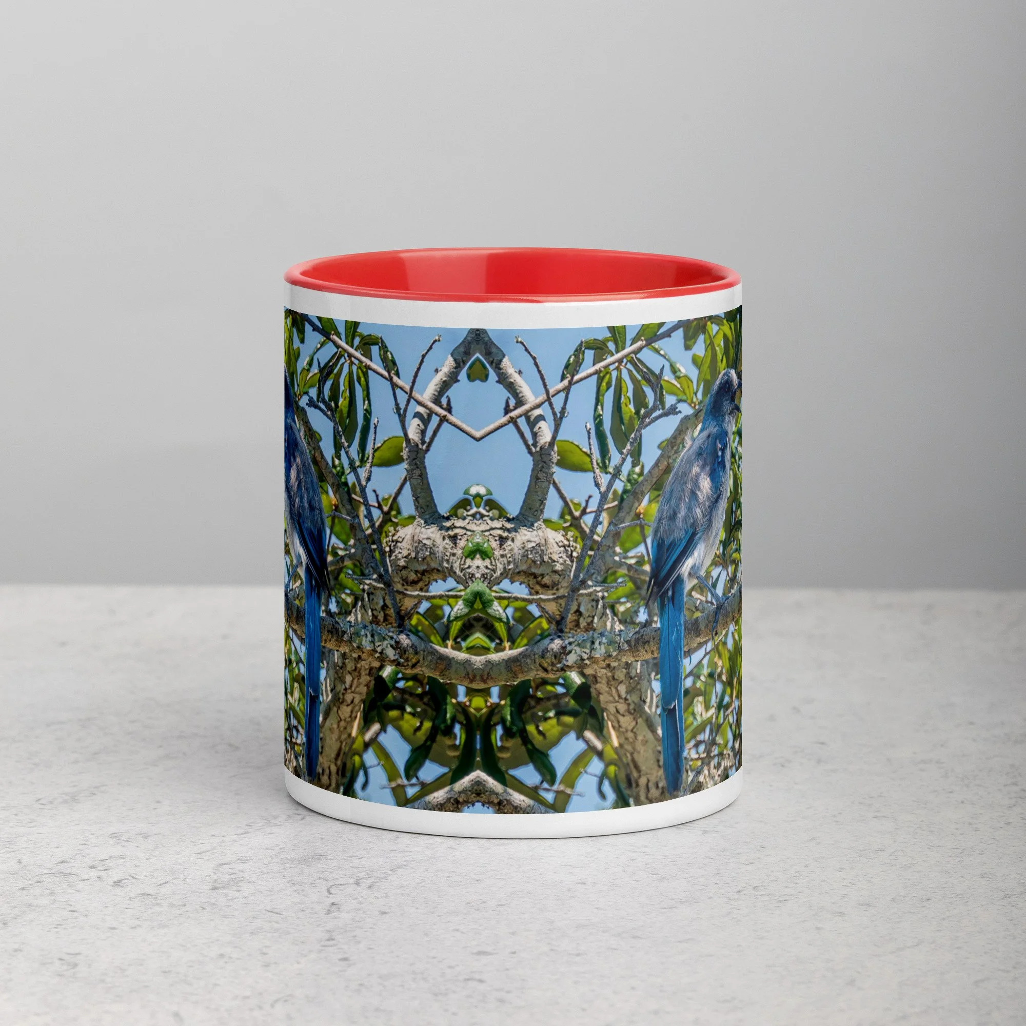 white-ceramic-mug-with-color-inside-red-11-oz-front-6a76b4e0d73ce.jpg