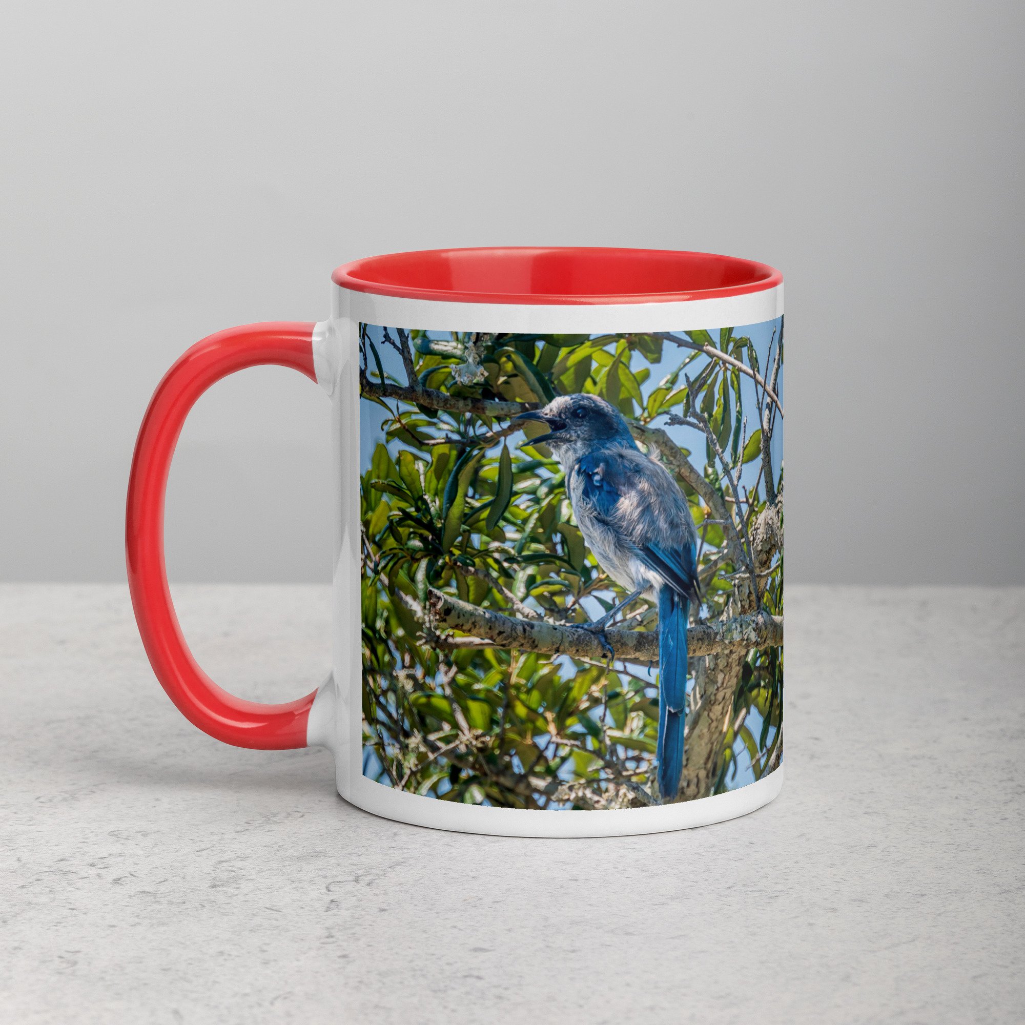white-ceramic-mug-with-color-inside-red-11-oz-left-6a76b4e0d73ec.jpg